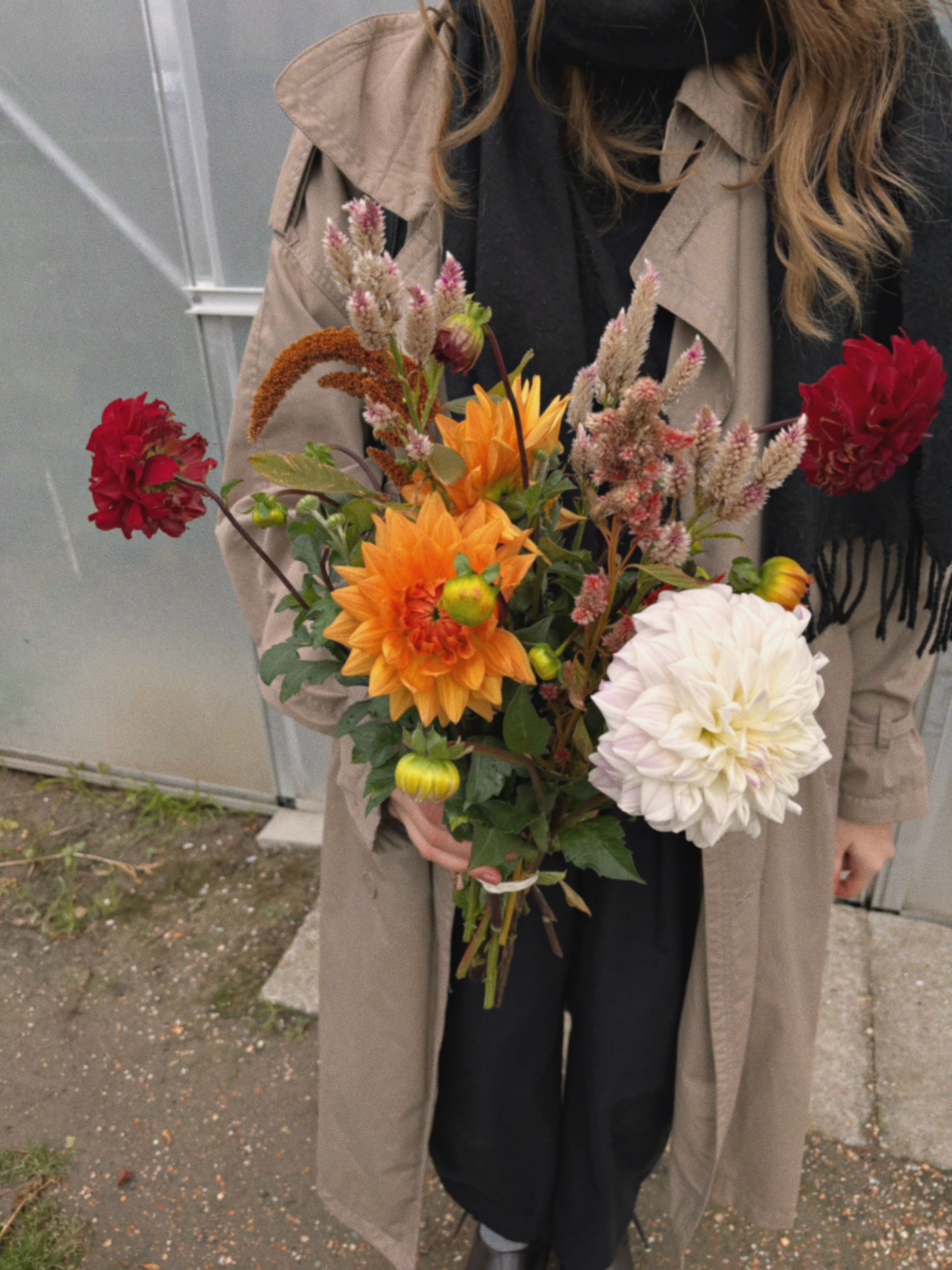 Pumpkin Patch & Flower Picking in Zeeland