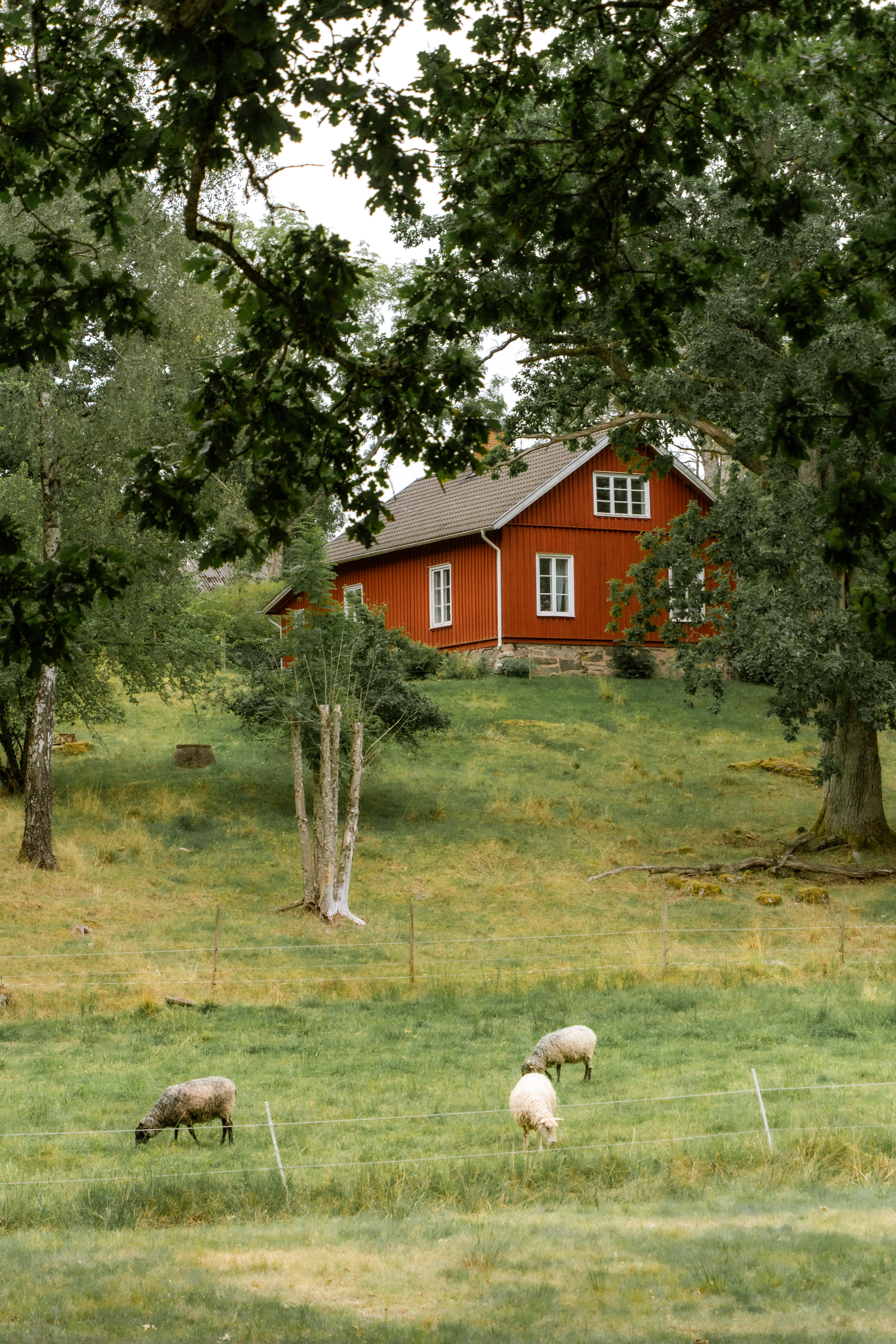 Living the Swedish Country Life