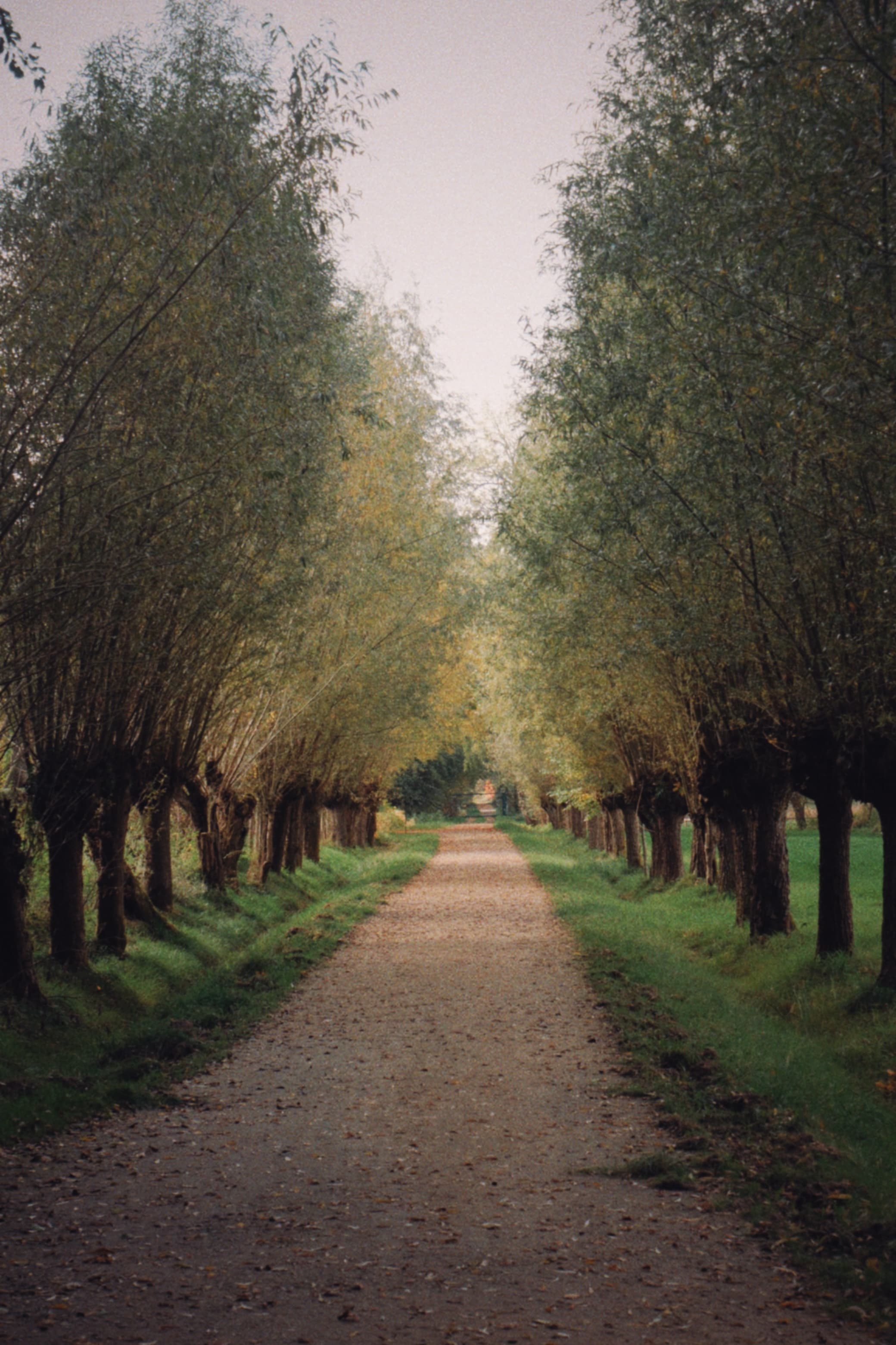 Sunday with our Dog at Bokrijk Open Air Museum