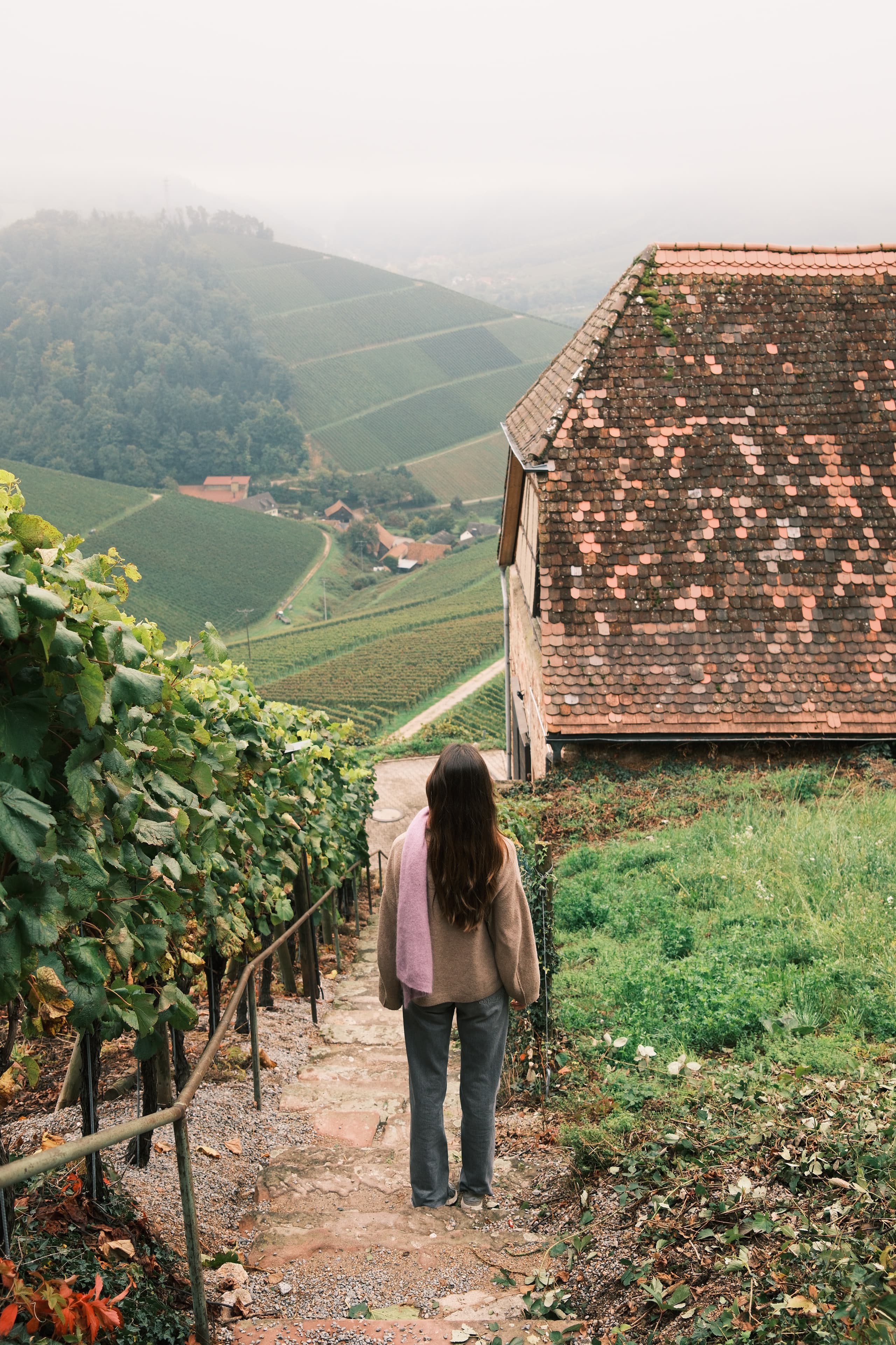 Wine hike around Durbach