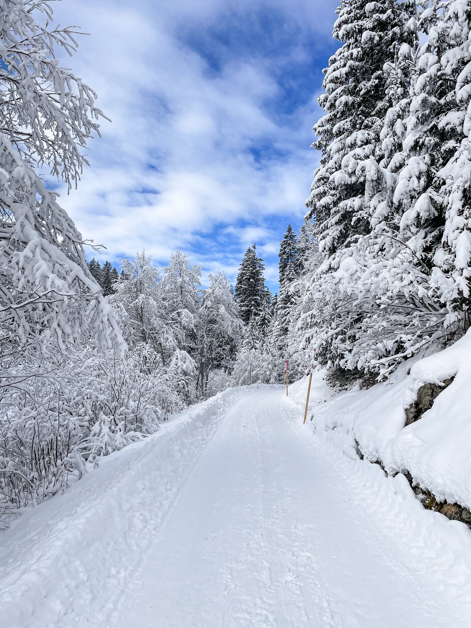 In de vallei van Klosters, Zwitserland