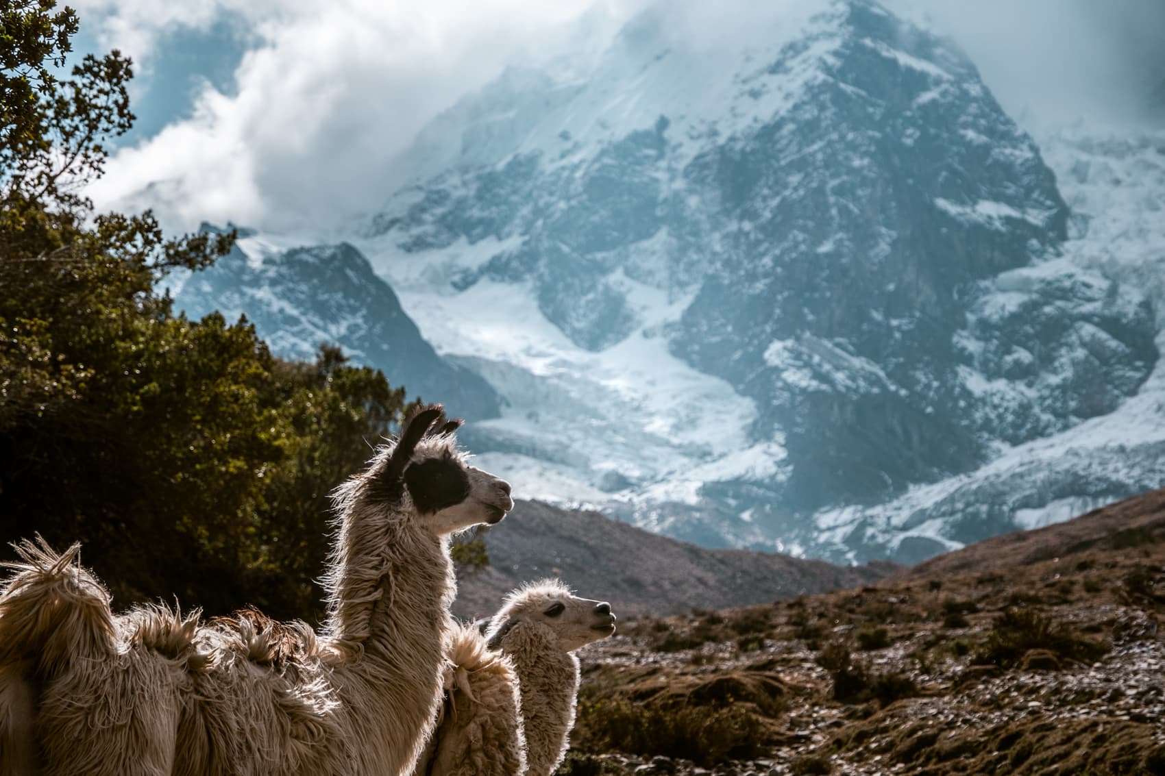 Salkantay Trek: avontuurlijke tocht naar Machu Picchu