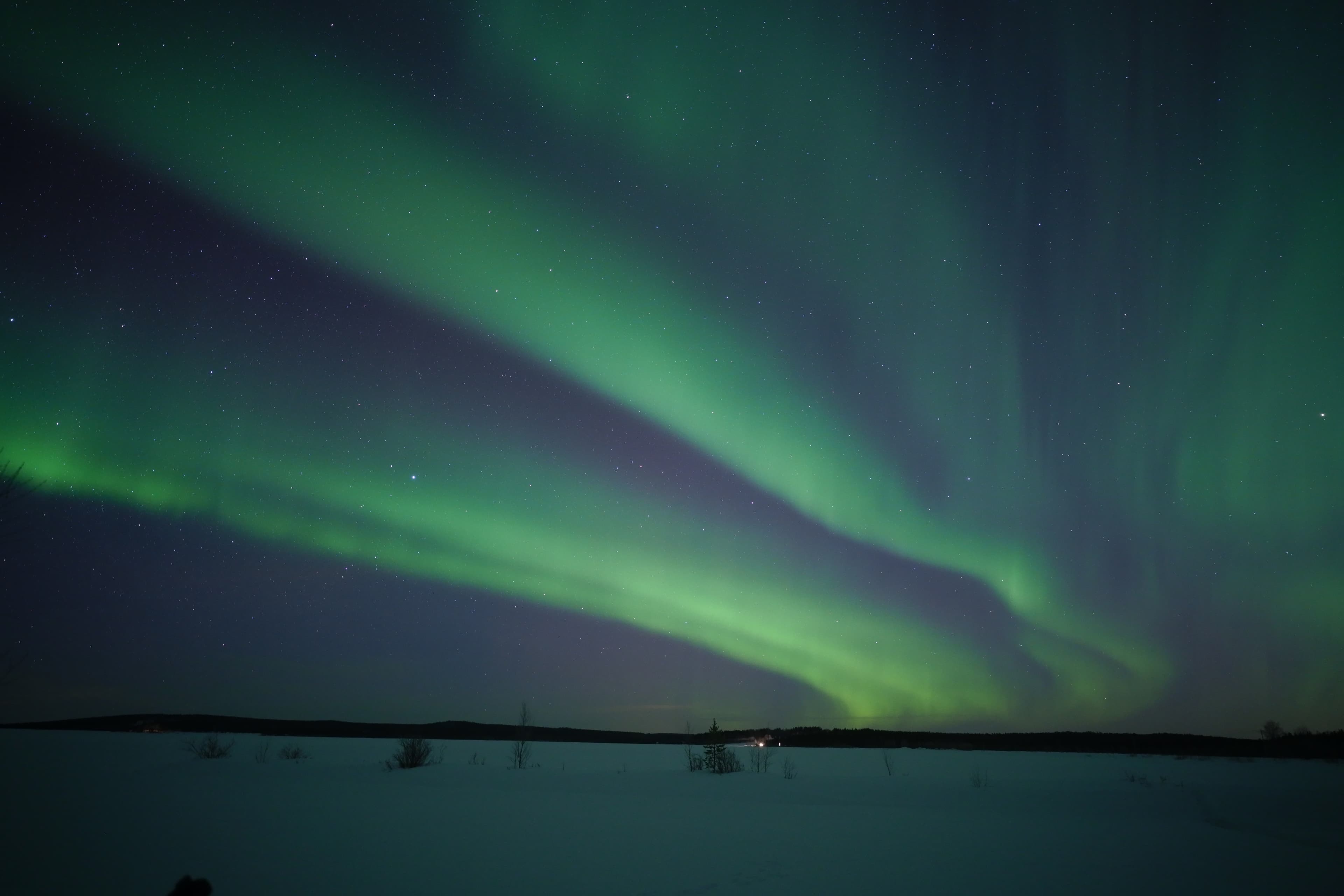 Real Aurora Hunting in Rovaniemi