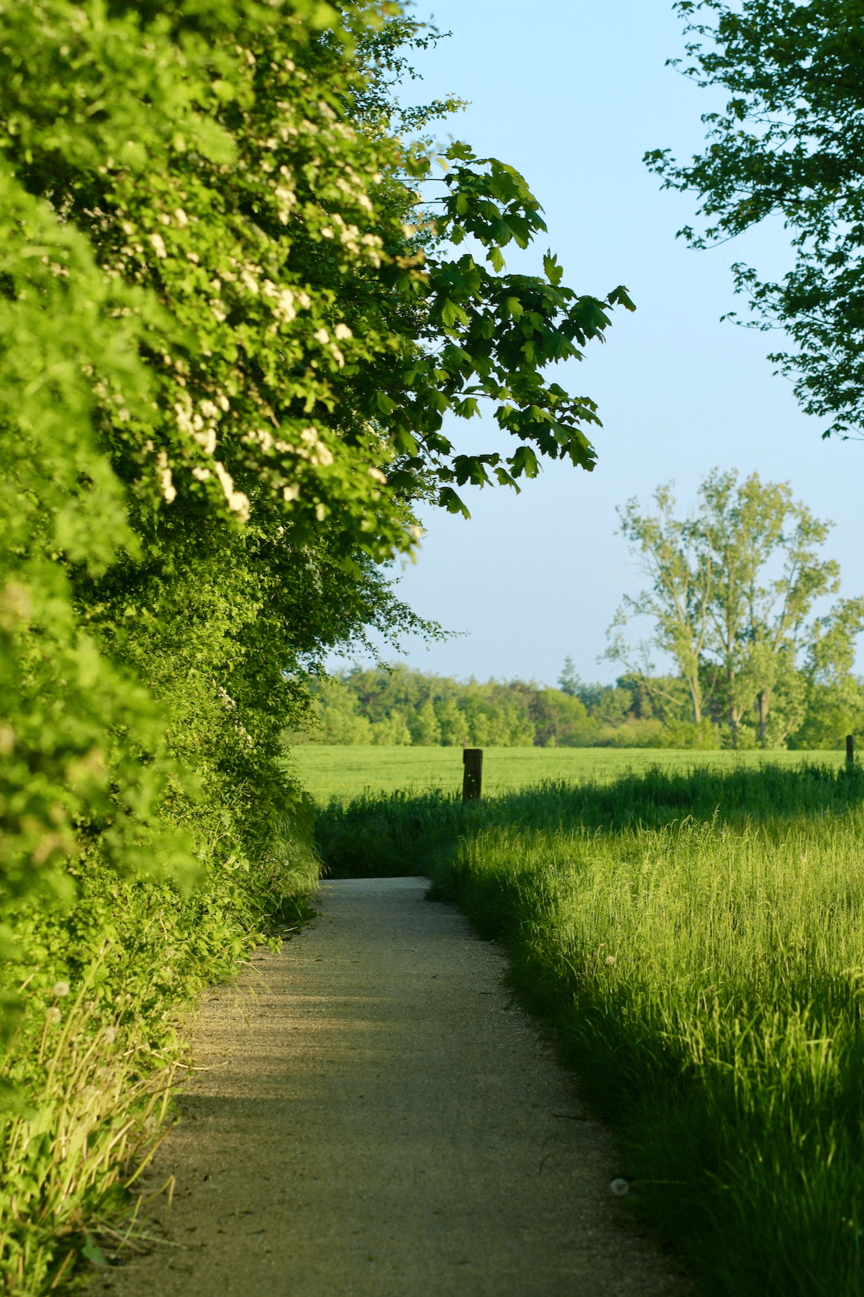 Promenade le long des monuments de guerre près d'Ypres