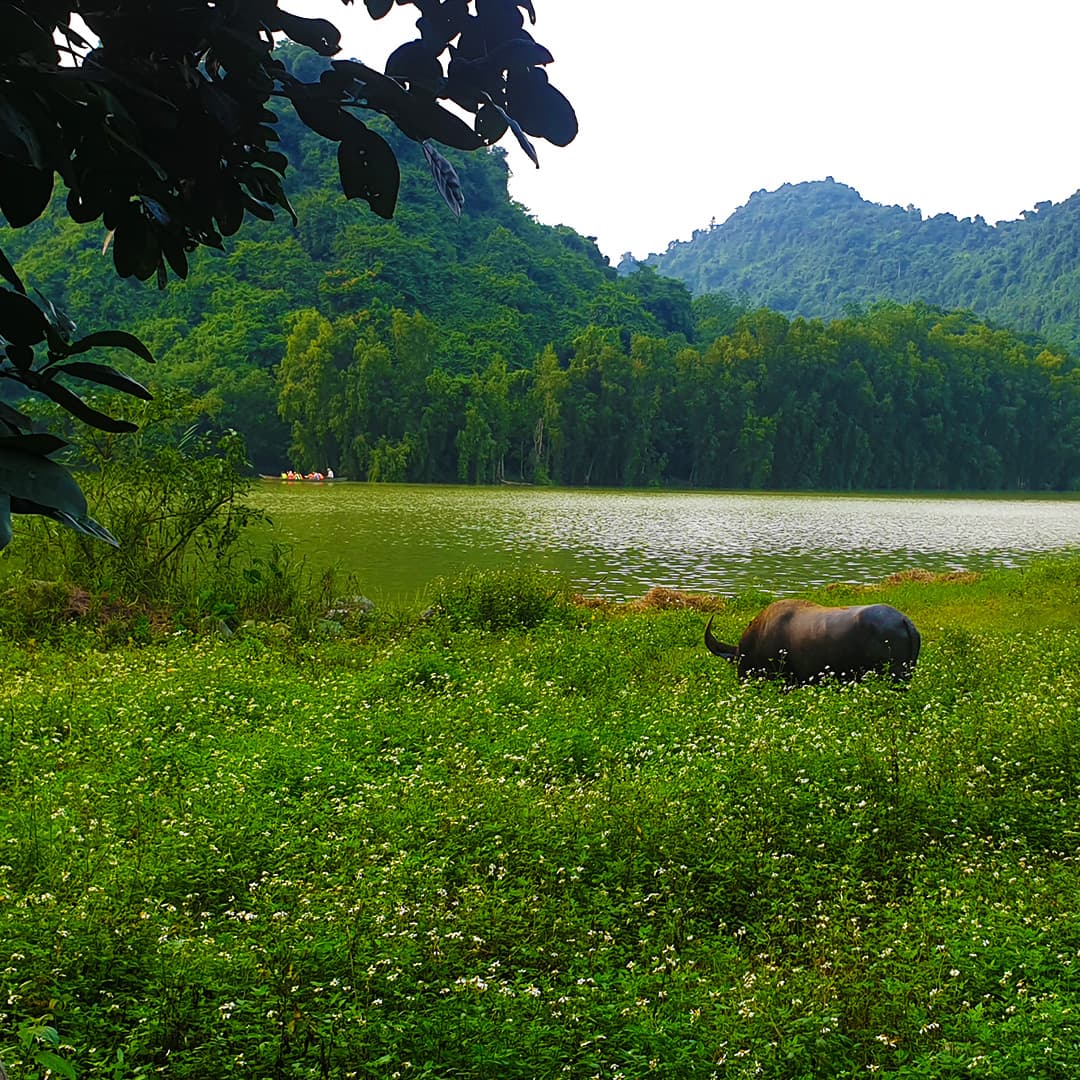 5 plus beaux points forts de Ninh Binh