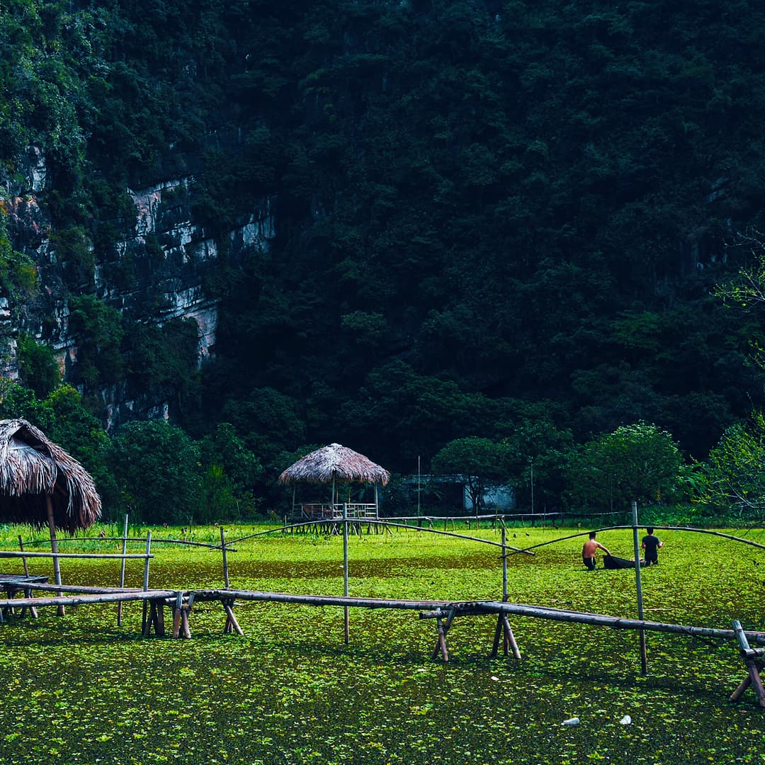 5 plus beaux points forts de Ninh Binh