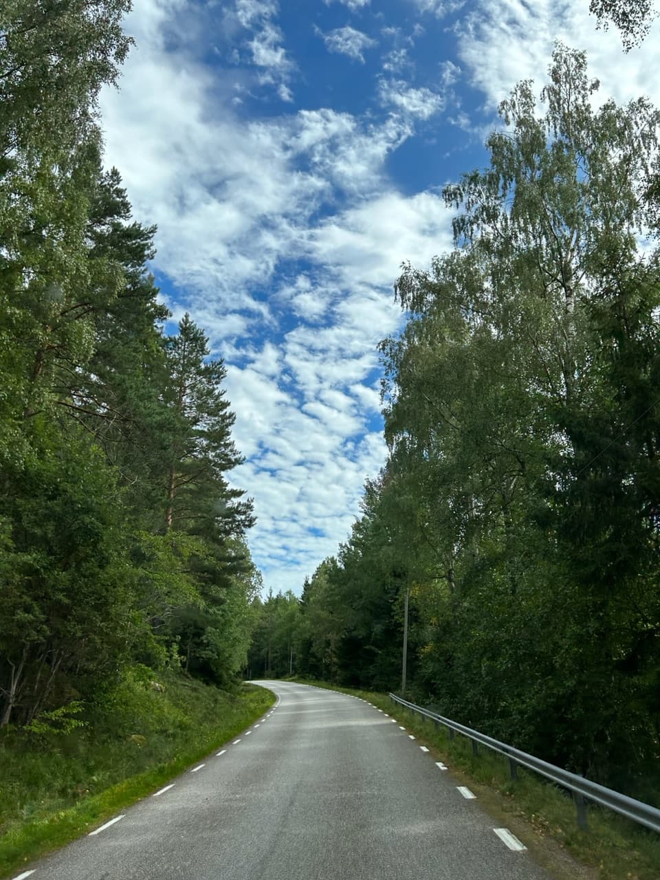 Wandelen door een oud bos in Tiveden NP