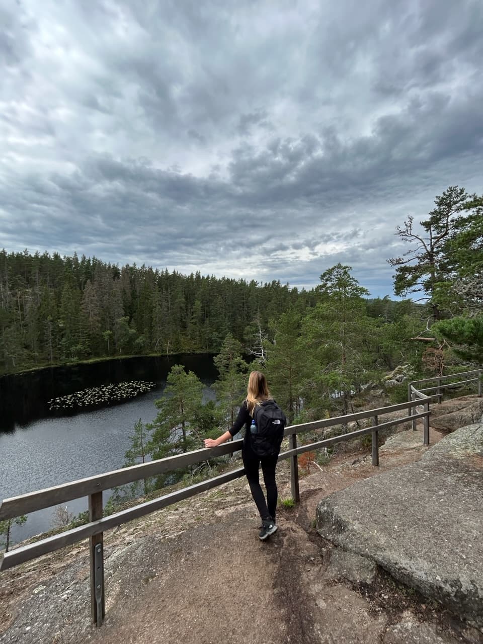 Wandelen door een oud bos in Tiveden NP
