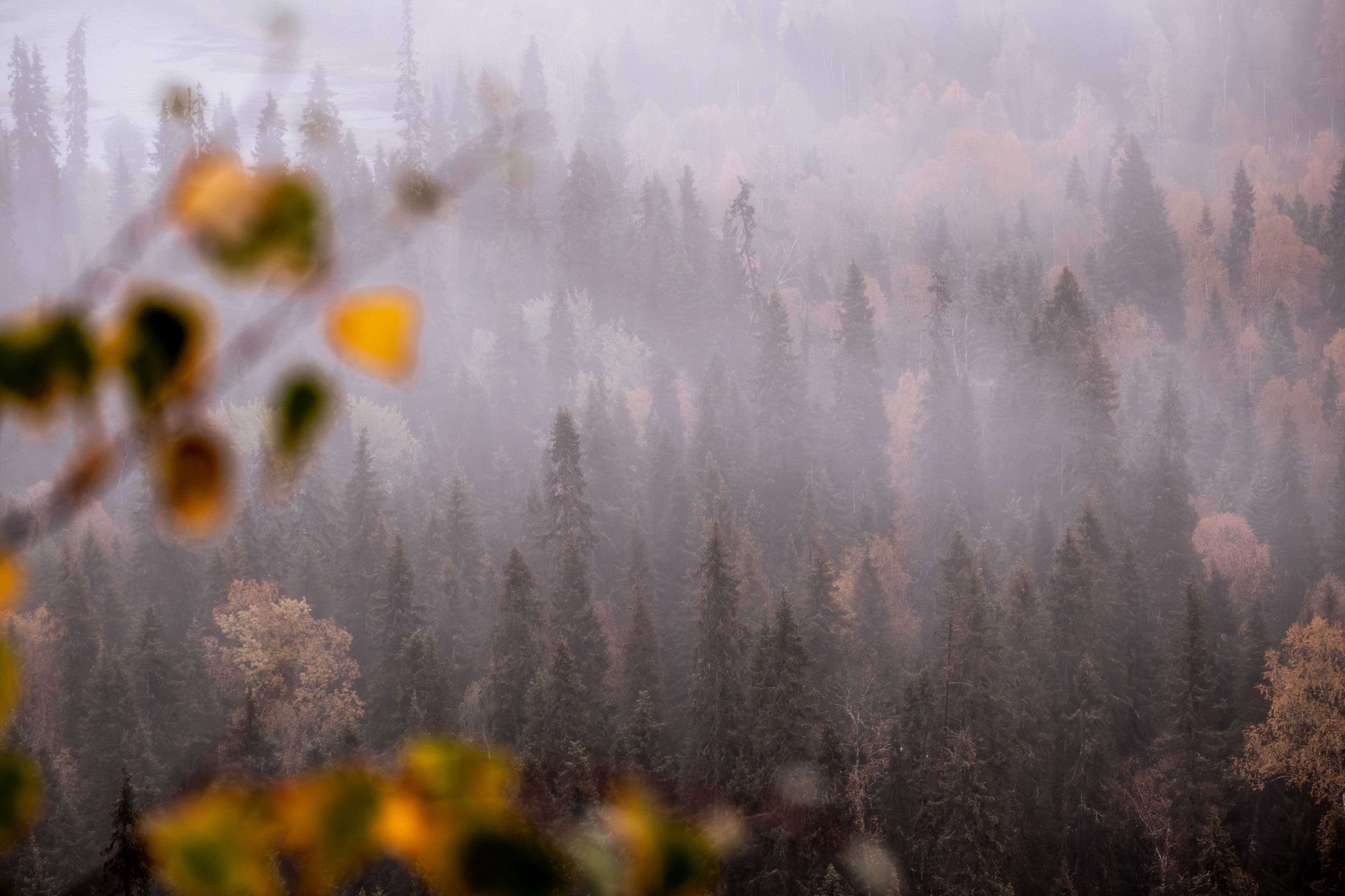 Het mooiste uitzicht van Finland