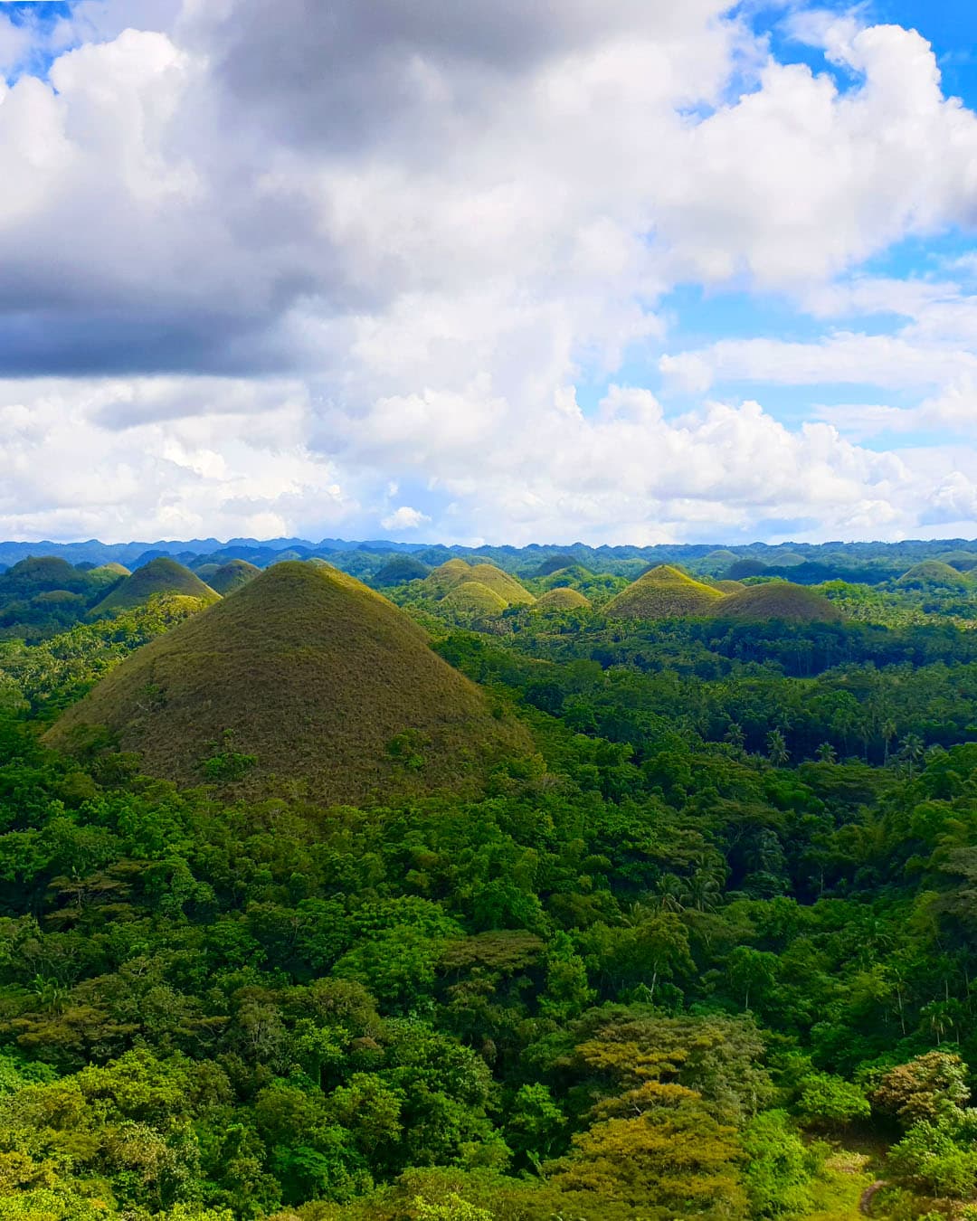 9 things to do in Bohol, Philippines