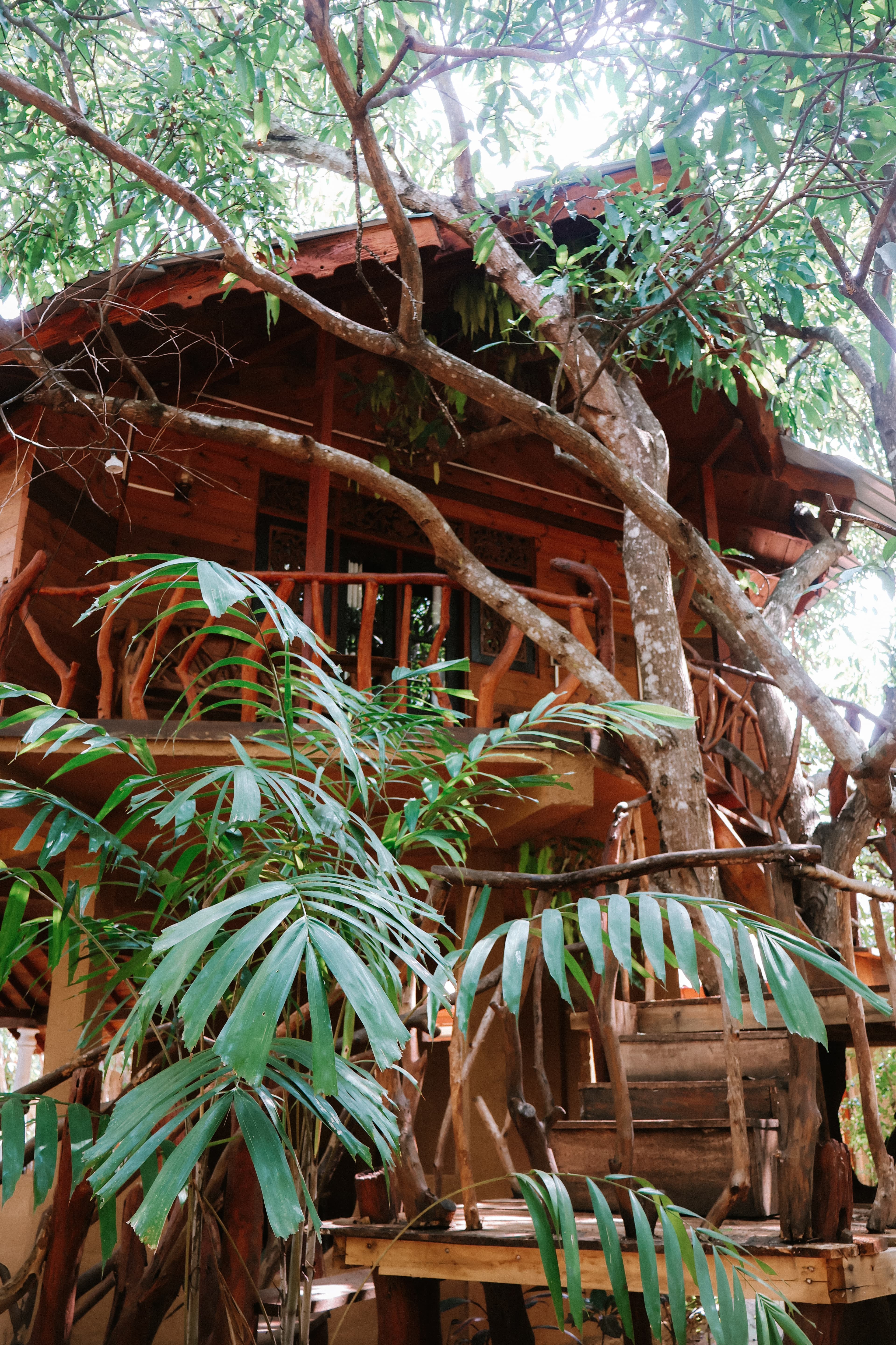 Sleep in a tree house at Dudley Nature Resort