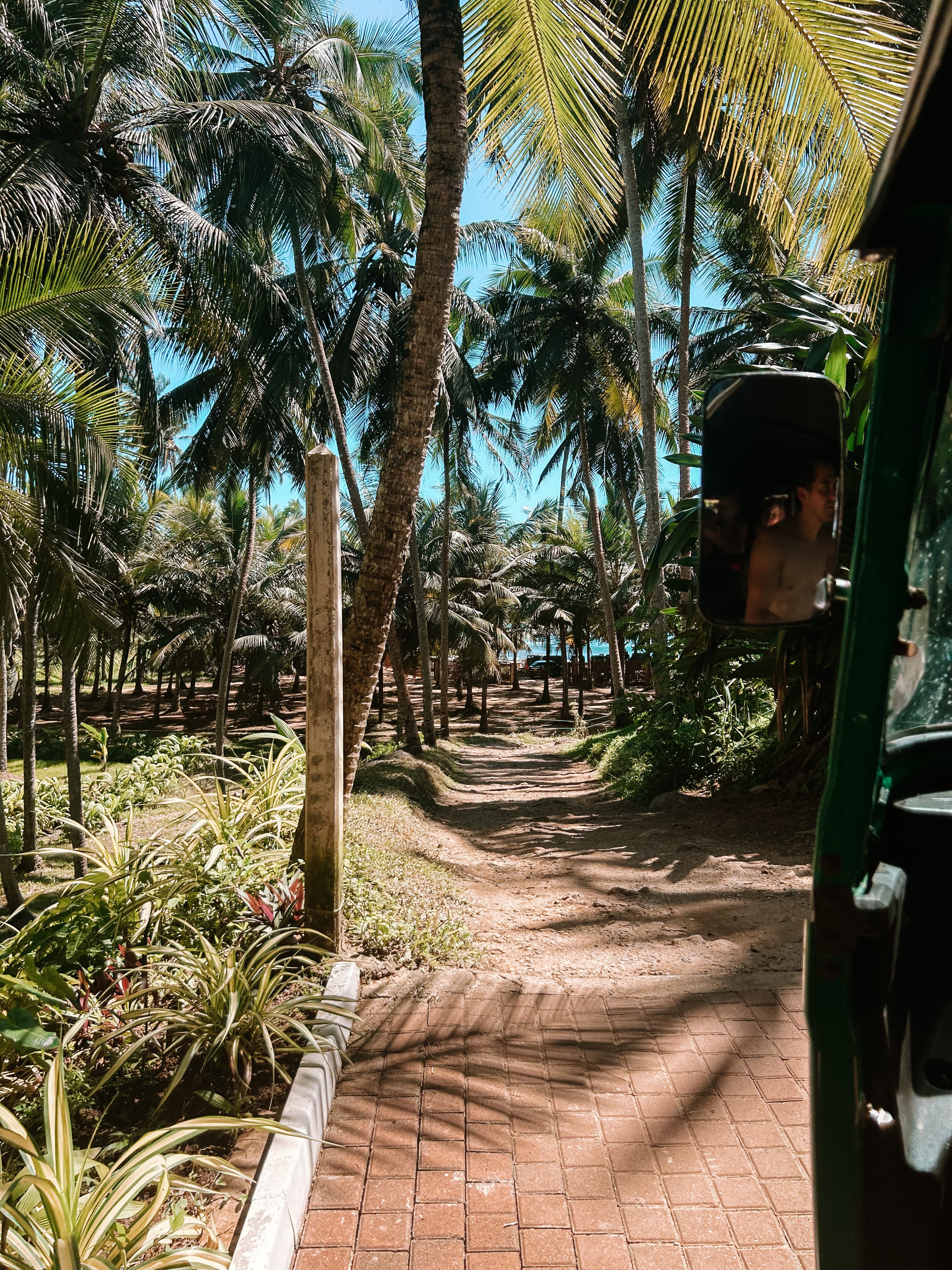 Explorez la plage captivante du Sud