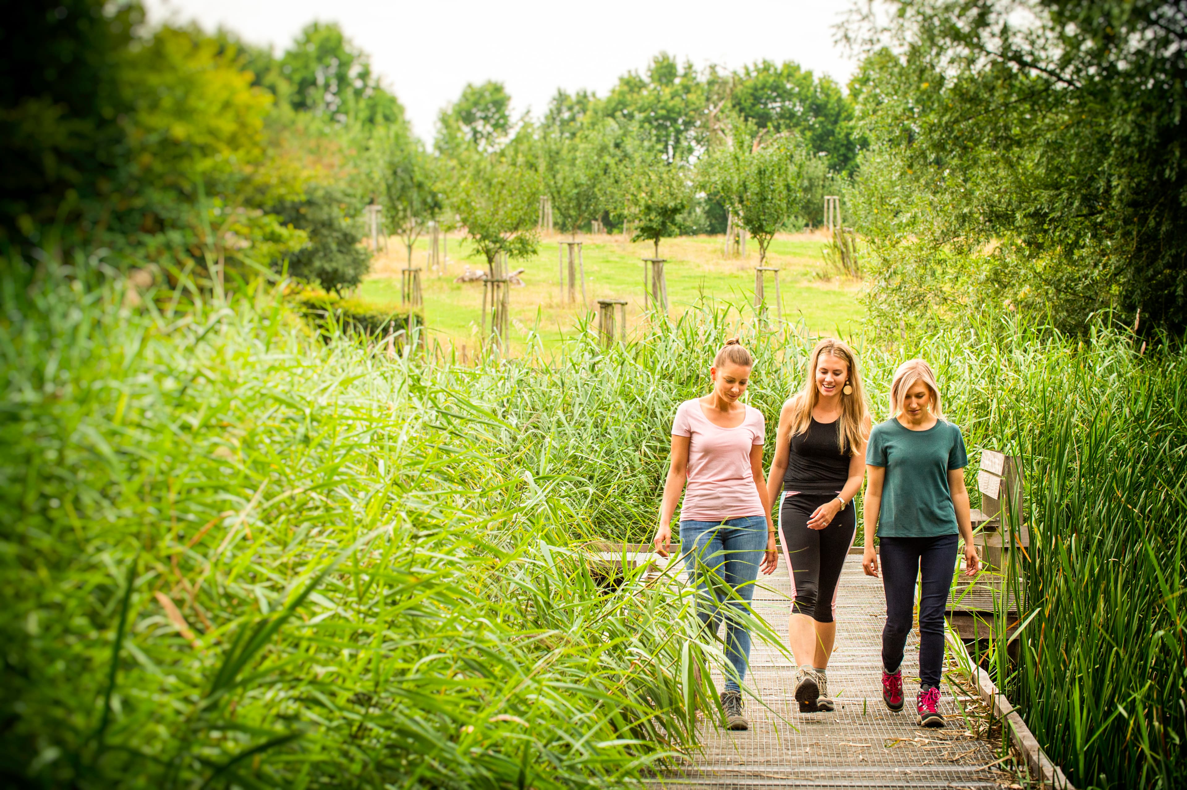 Wandelen en picknick
