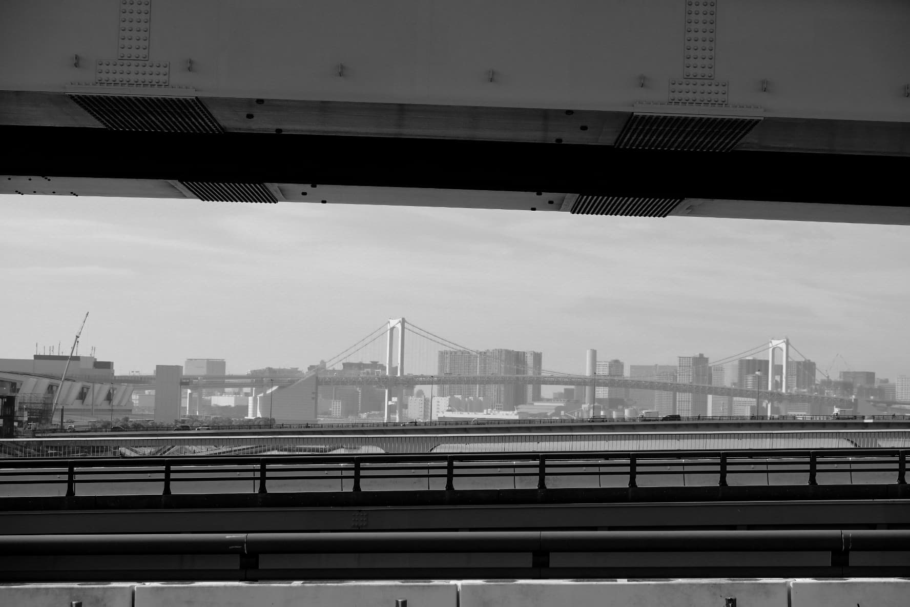 Sparkles, fish & Tokyo Tower