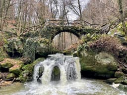 Vertraag en verwonder