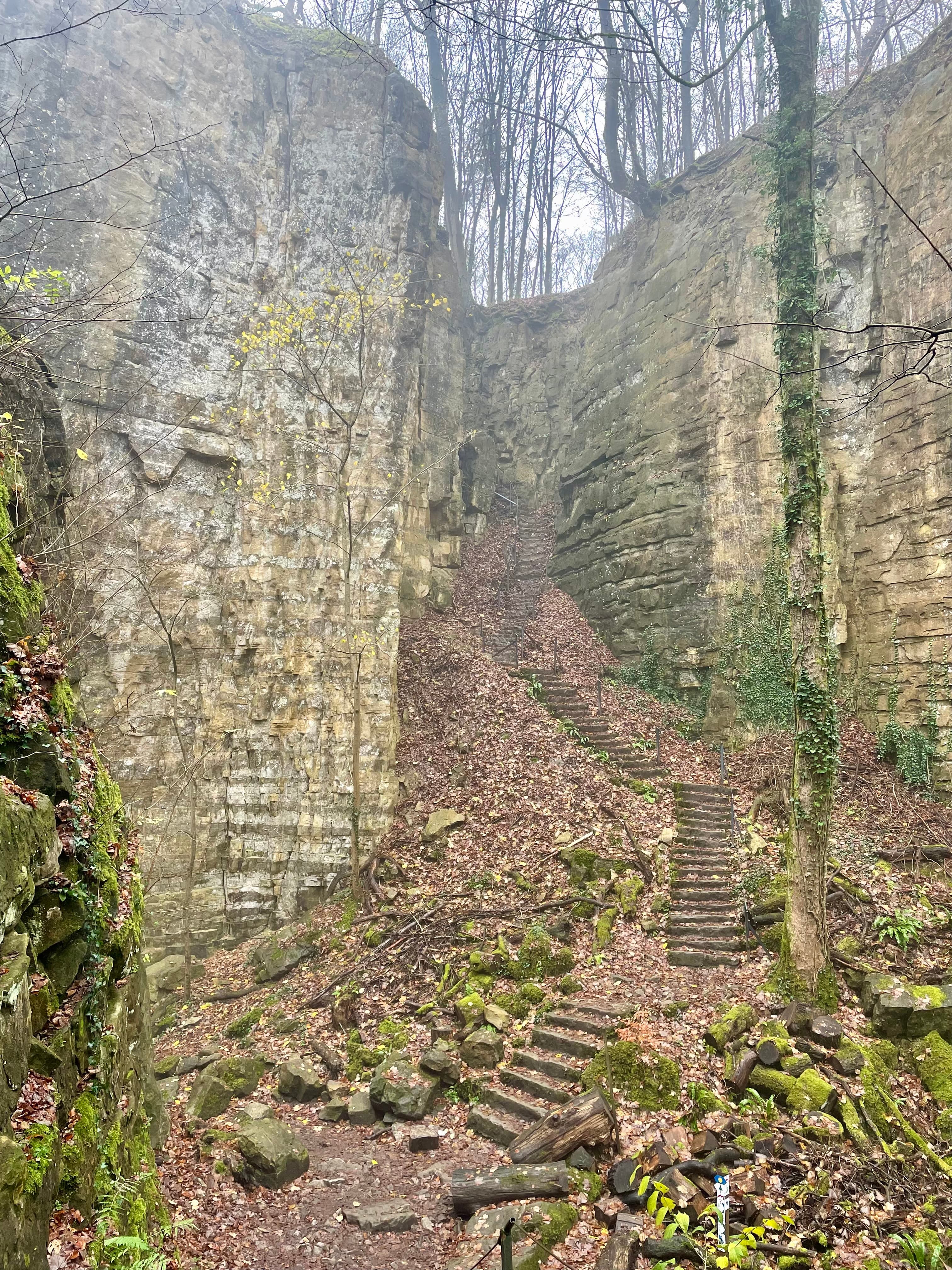 Wandelen in een andere wereld