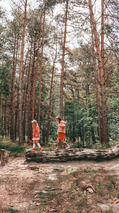 Bouldering & Experiencing