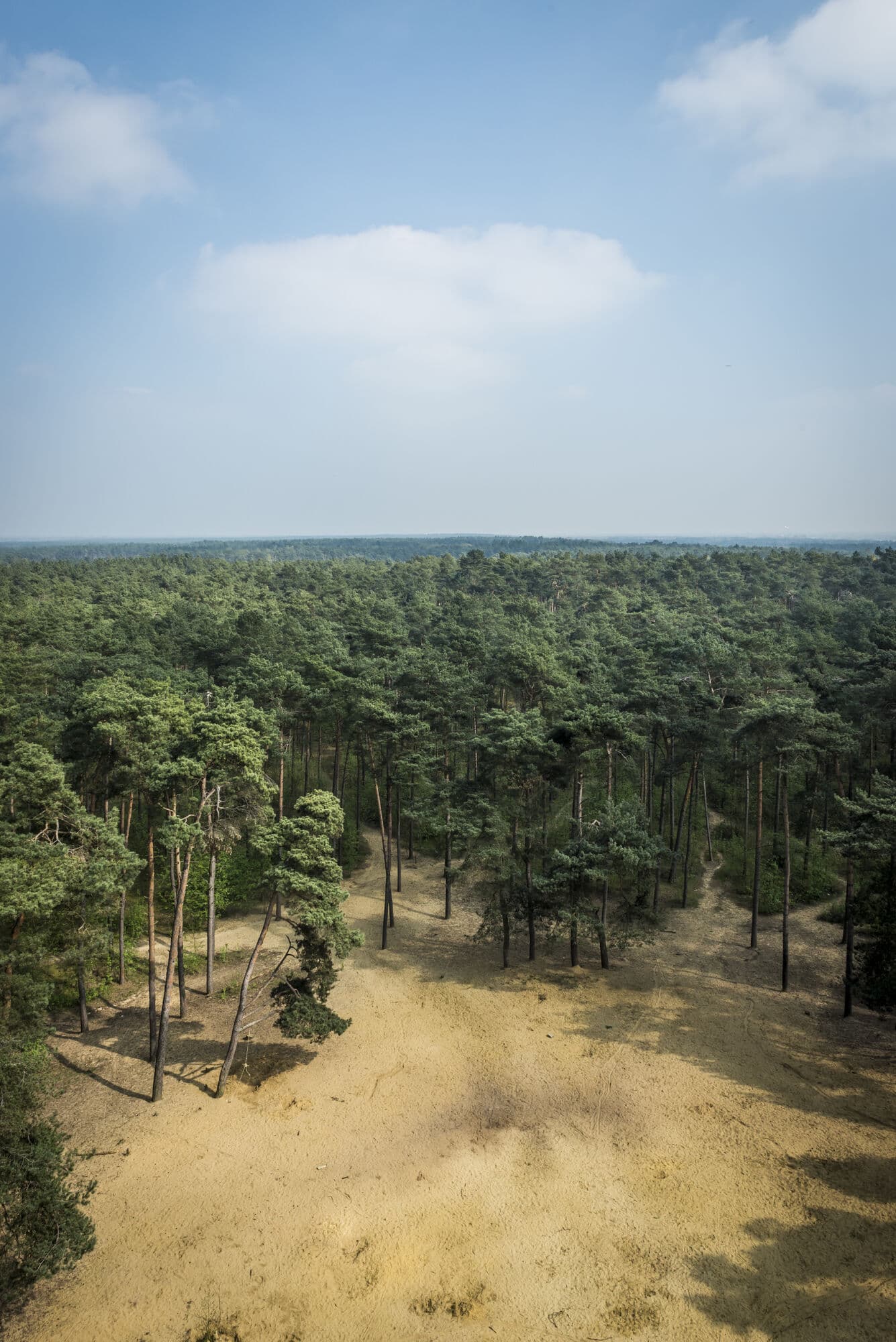 Hiking, climbing, and delicious feasting