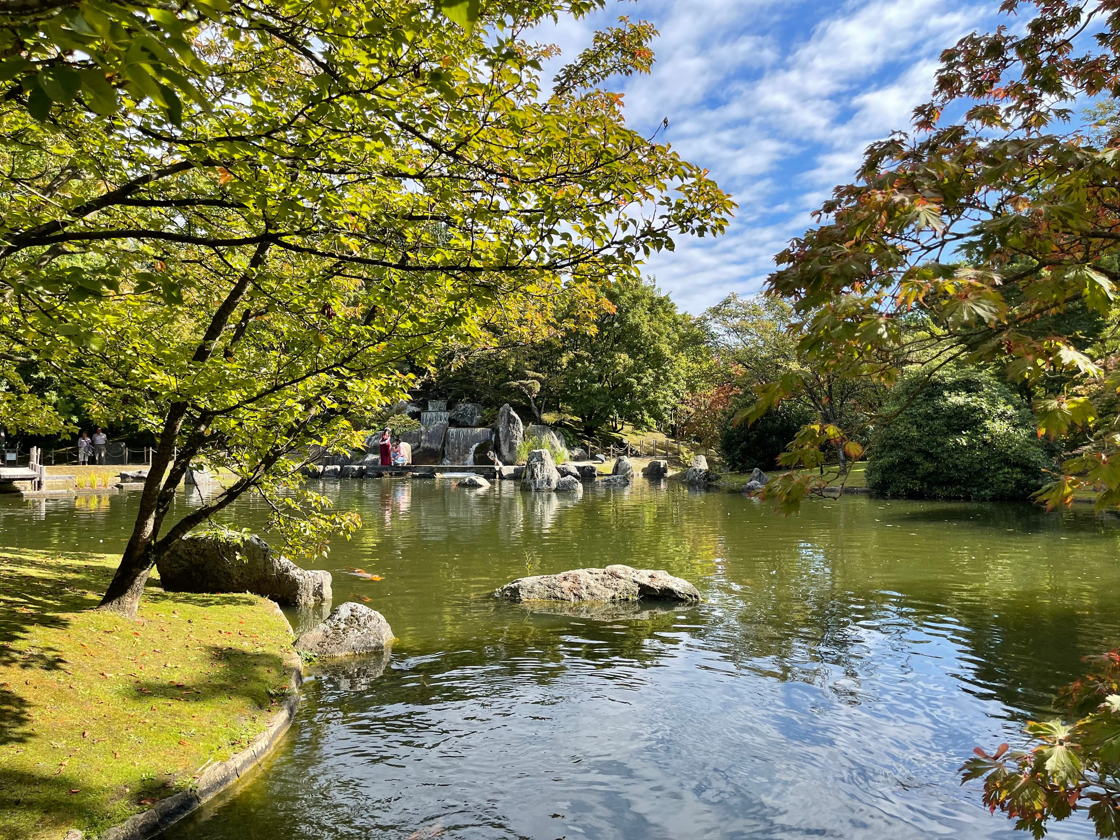 Find serenity in the Japanese Garden 🌸
