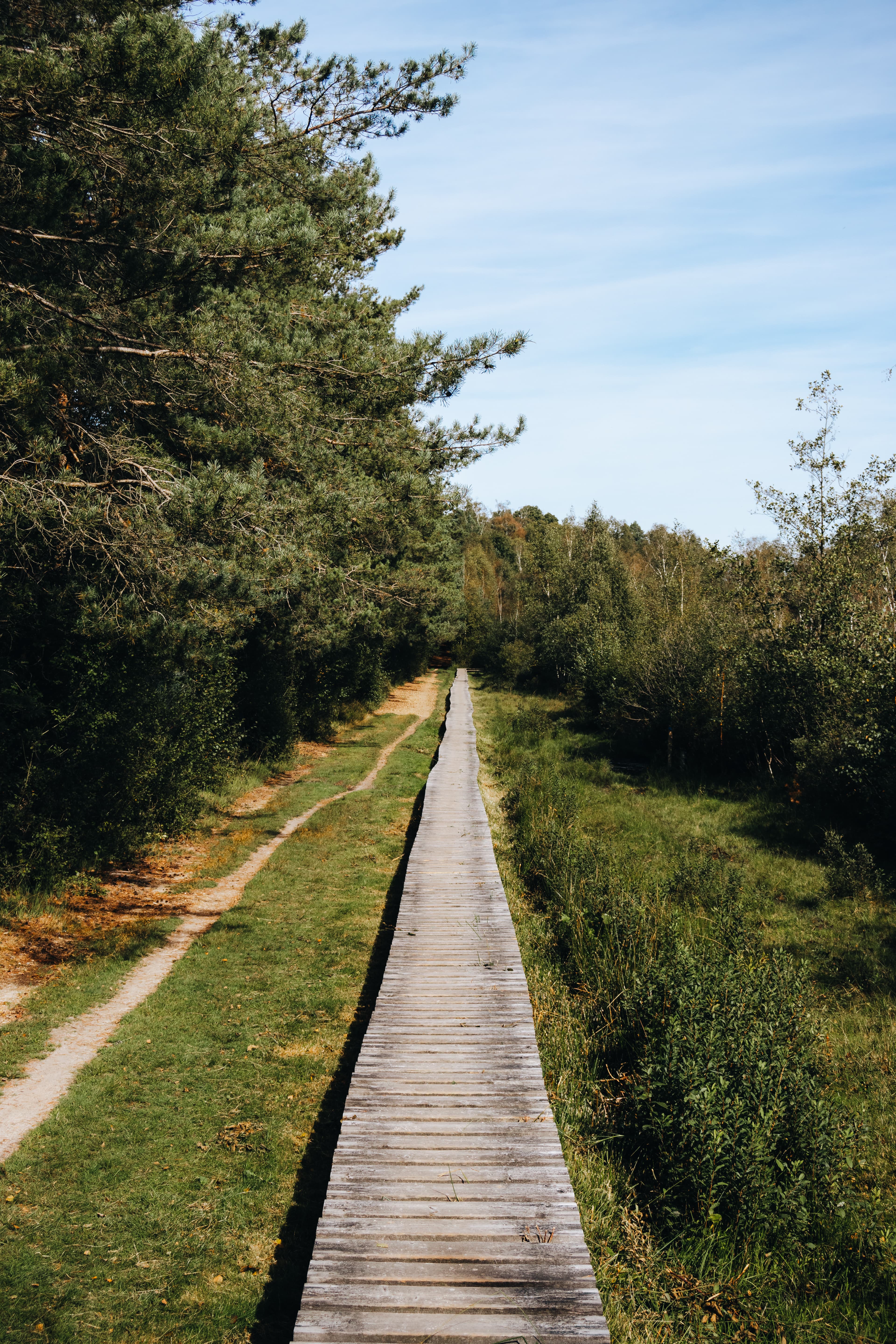 Walk around Hoge Kempen National Park