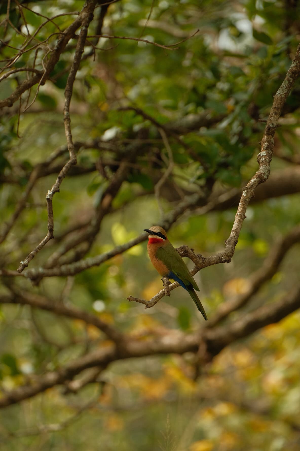 Mlilwane Wildlife Sanctuary in eSwatini