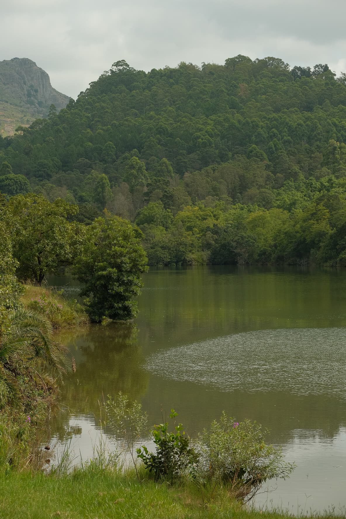 Mlilwane Wildlife Sanctuary in eSwatini