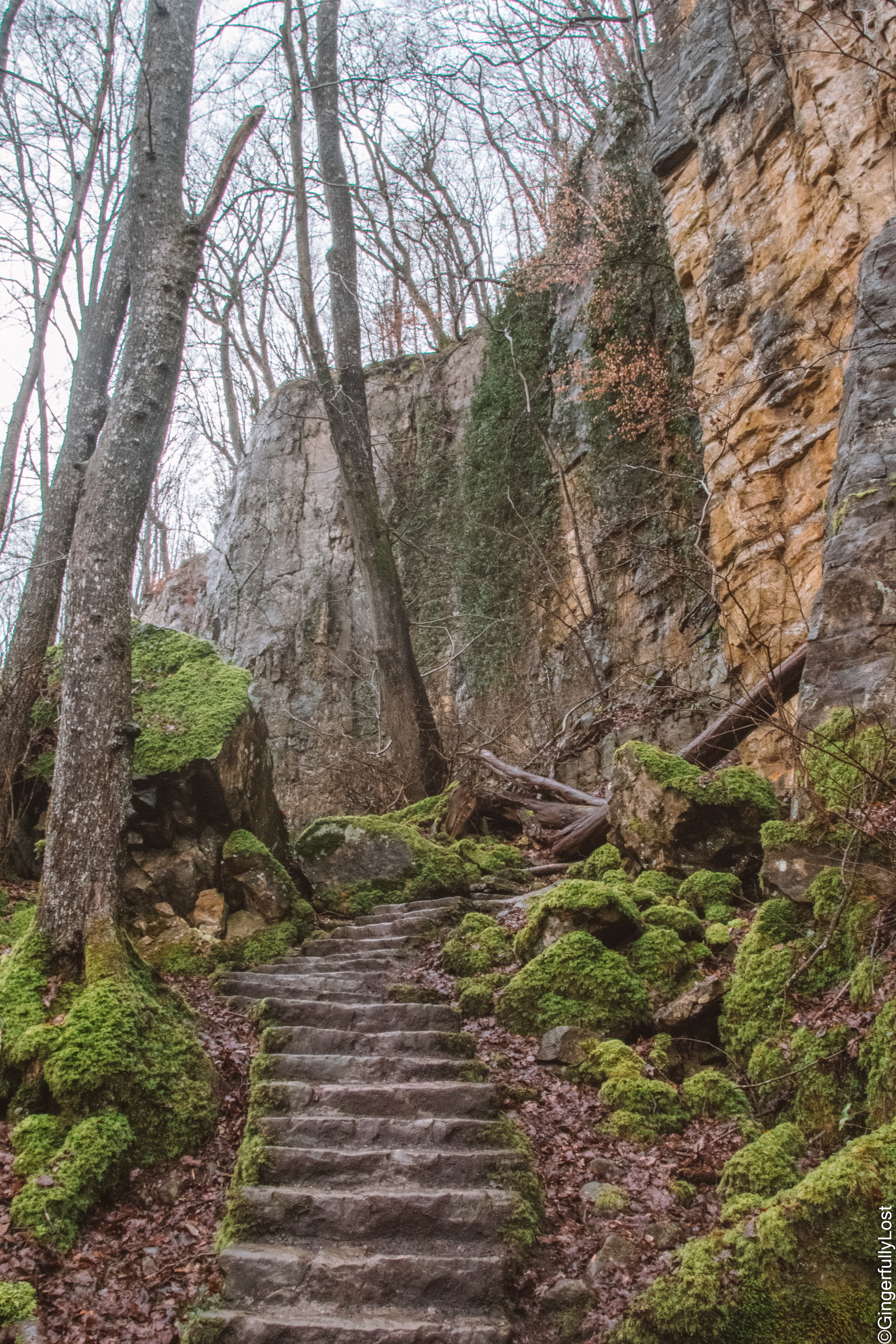 Mullerthal voor dagwandelaars