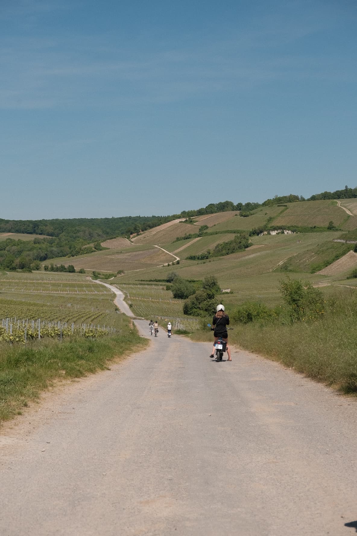 Fietsen in de champagne regio