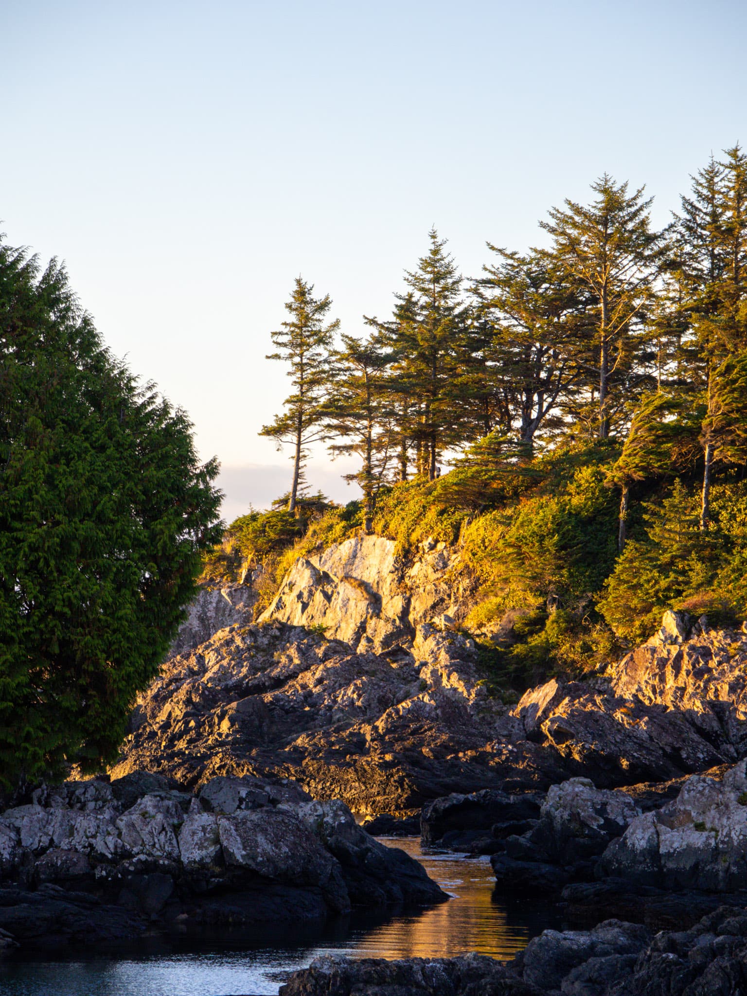 Nanaimo naar Tofino: mooiste stops op Vancouver Island