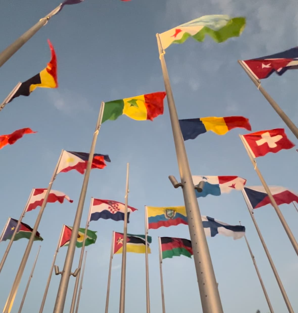 Après-midi culturel actif