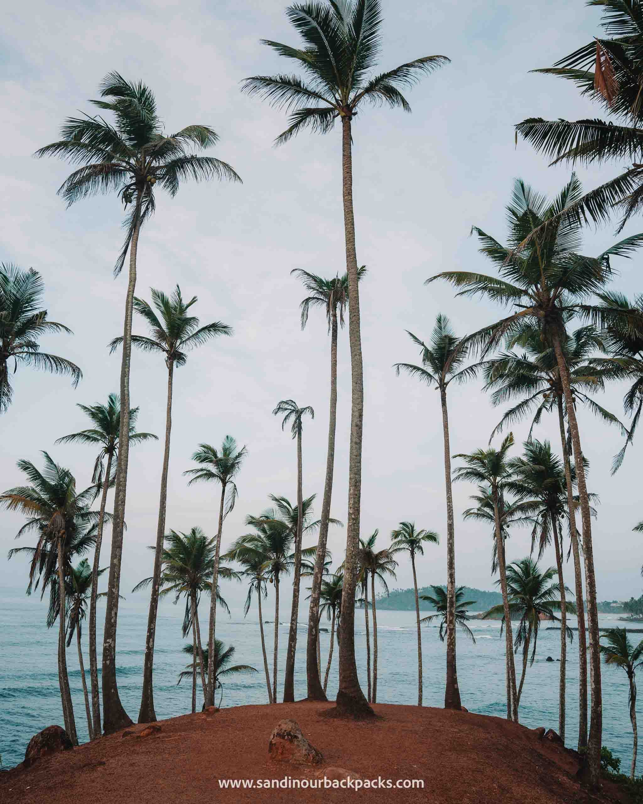 De 10 leukste dingen om te doen in Mirissa, Sri Lanka