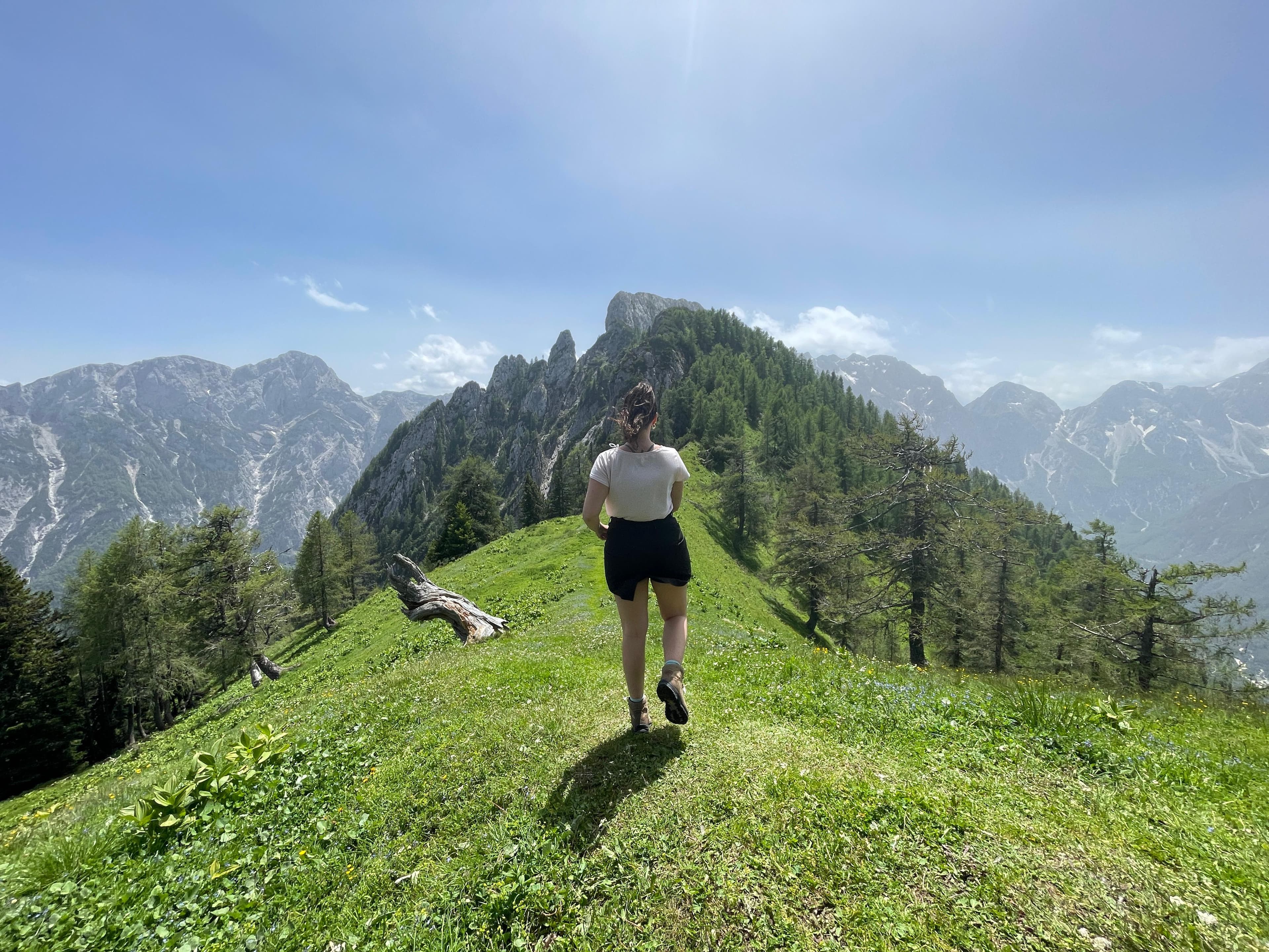Strelovic Peak, Logar Valley