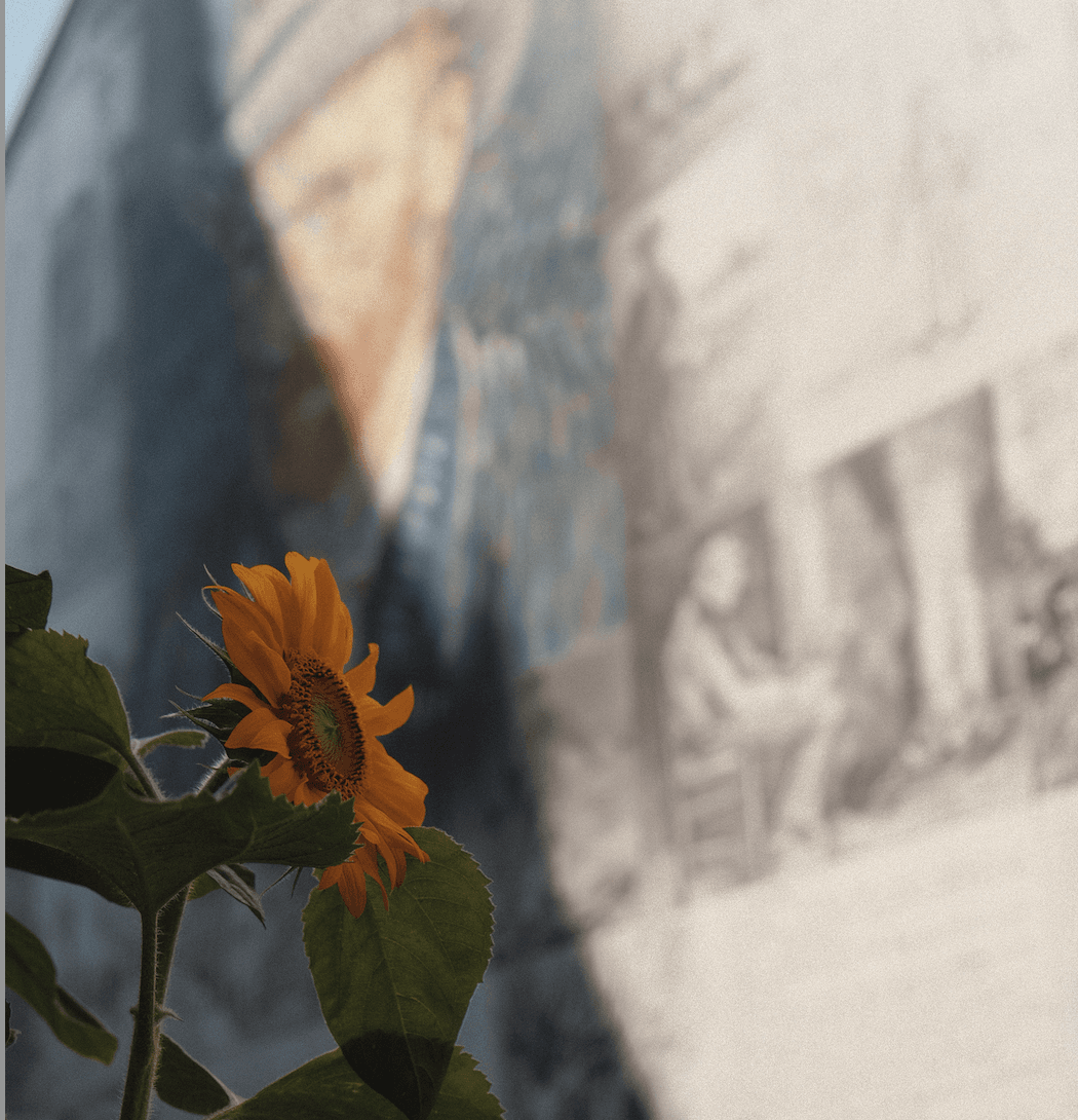 Trois jours à travers le Brabant culturel