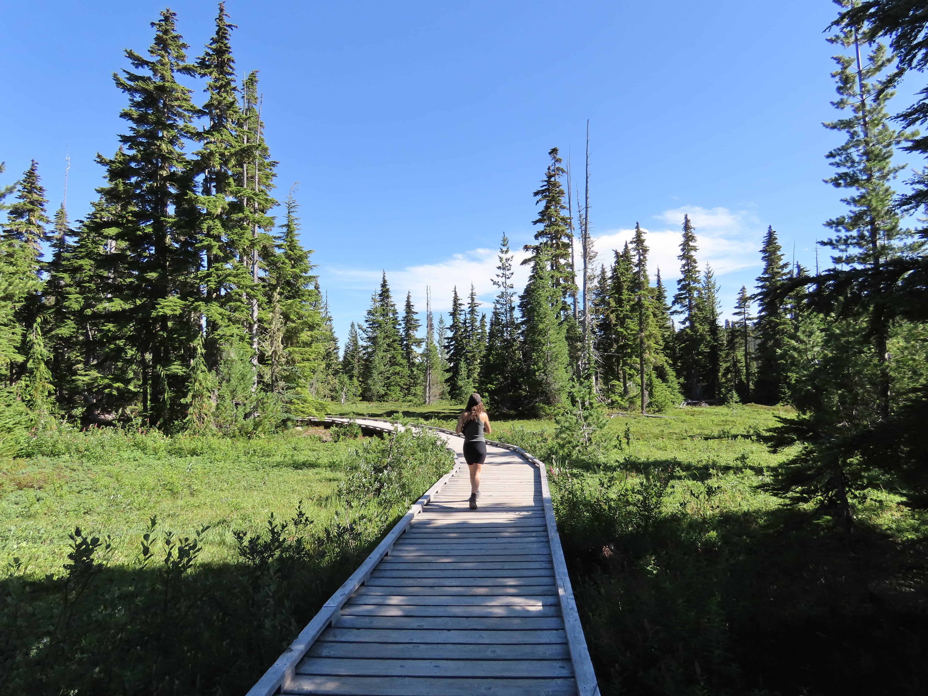 Vancouver Island: a first impression