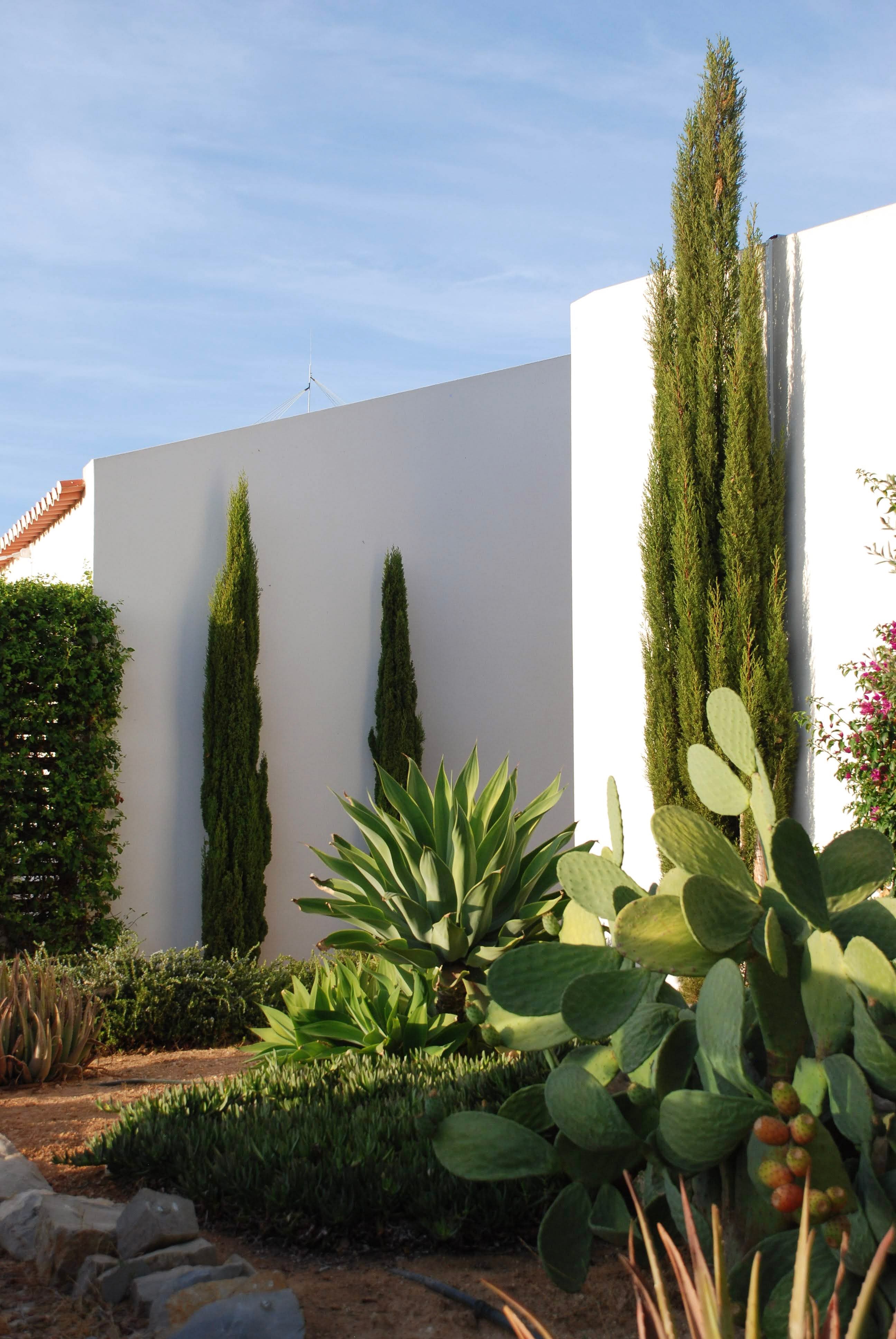 B&B Alma do Campo au cœur de l'Algarve