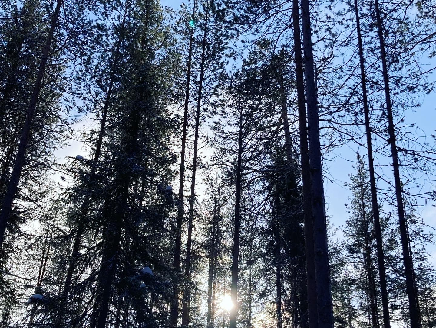 Rovaniemi: the magical heart of Lapland