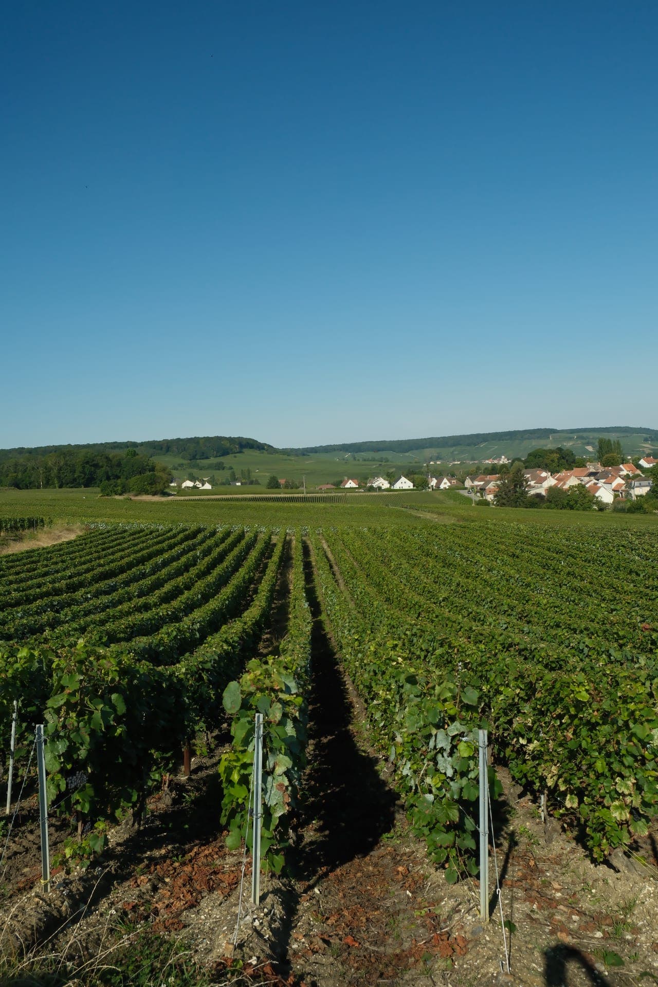 A weekend getaway in Champagne