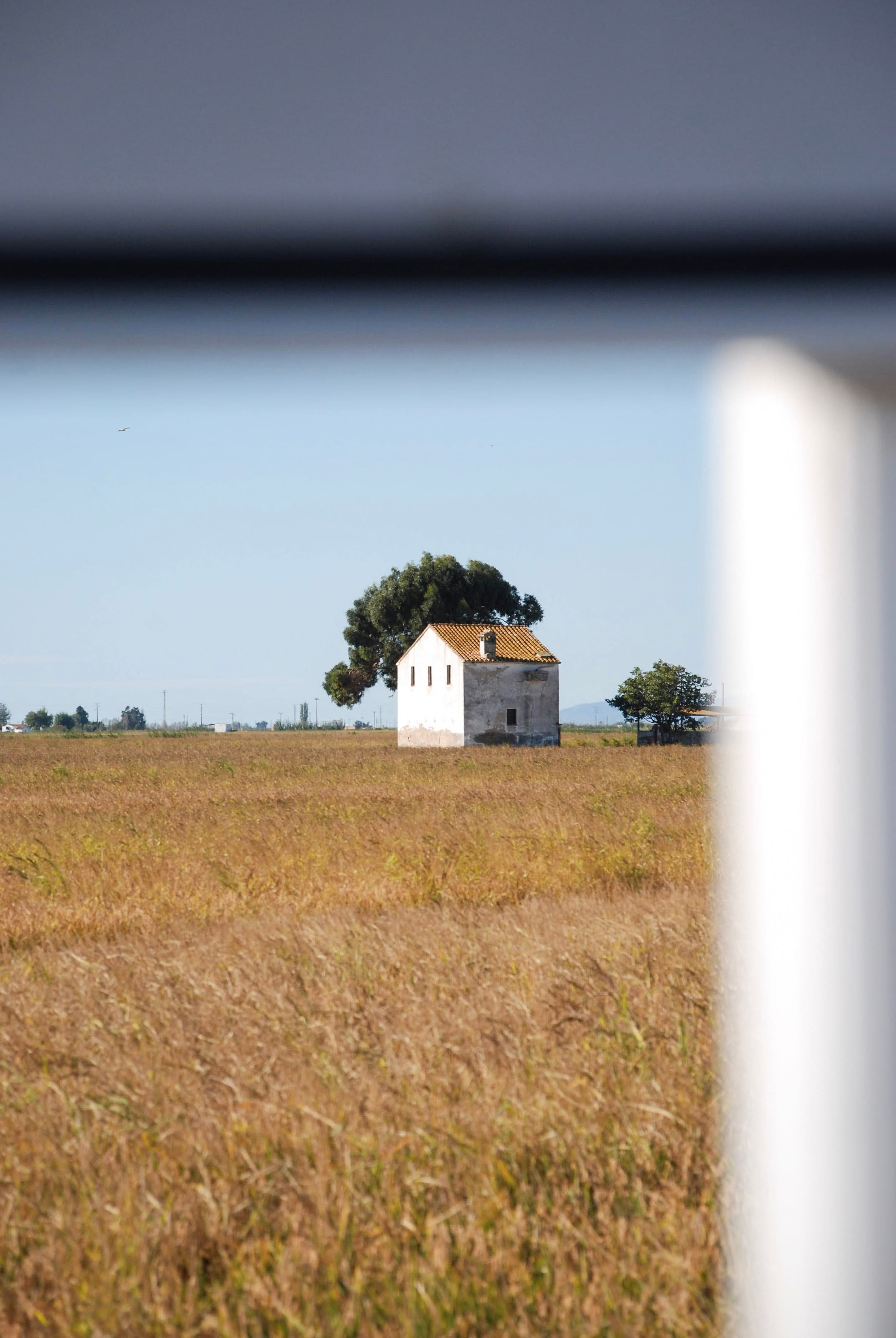 Tussen vogels, wind & rijst | Delta del Ebro