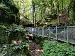 One last walk and to the big nature playground