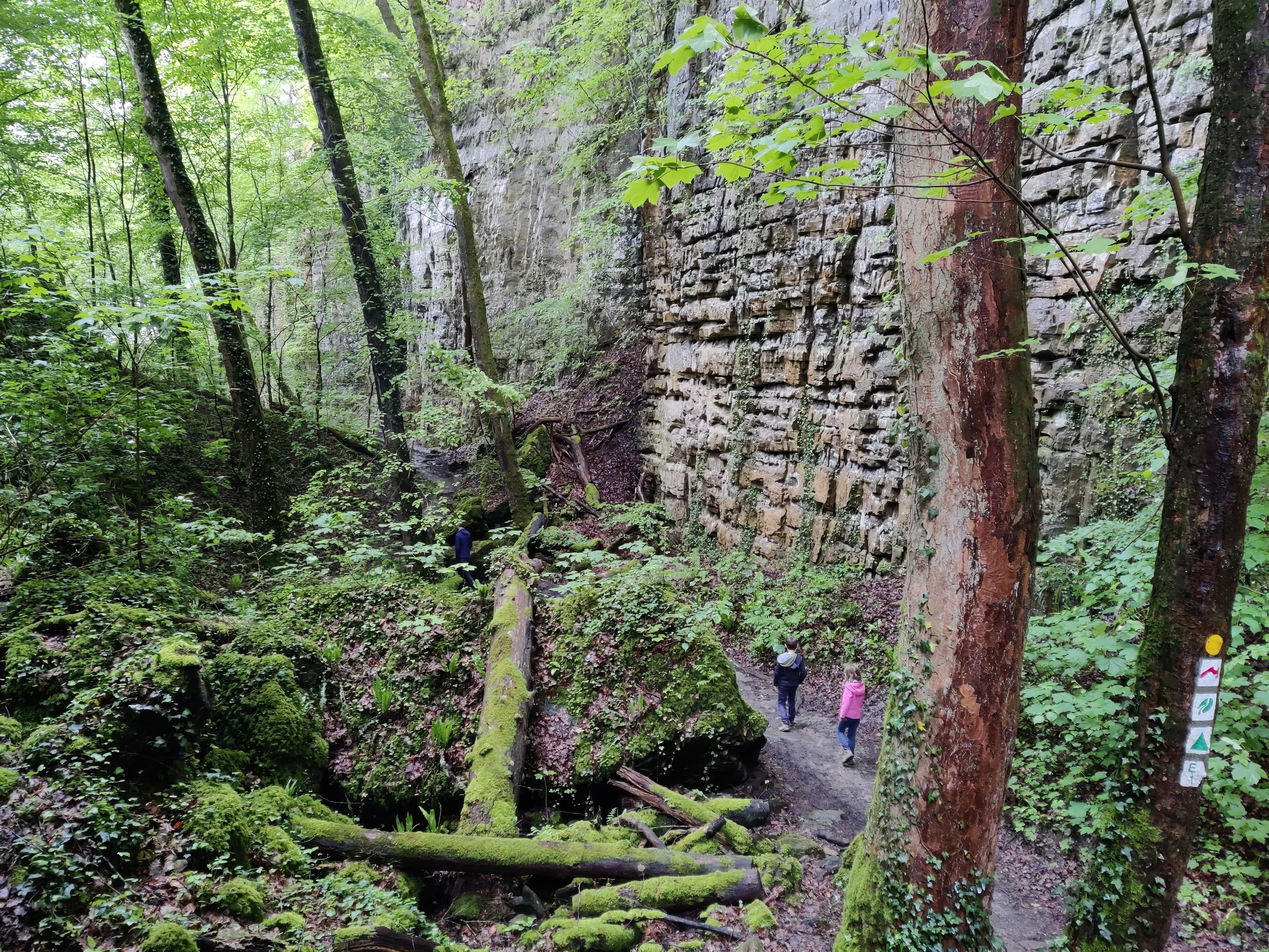 Randonnée dans les forêts de Mullerthal