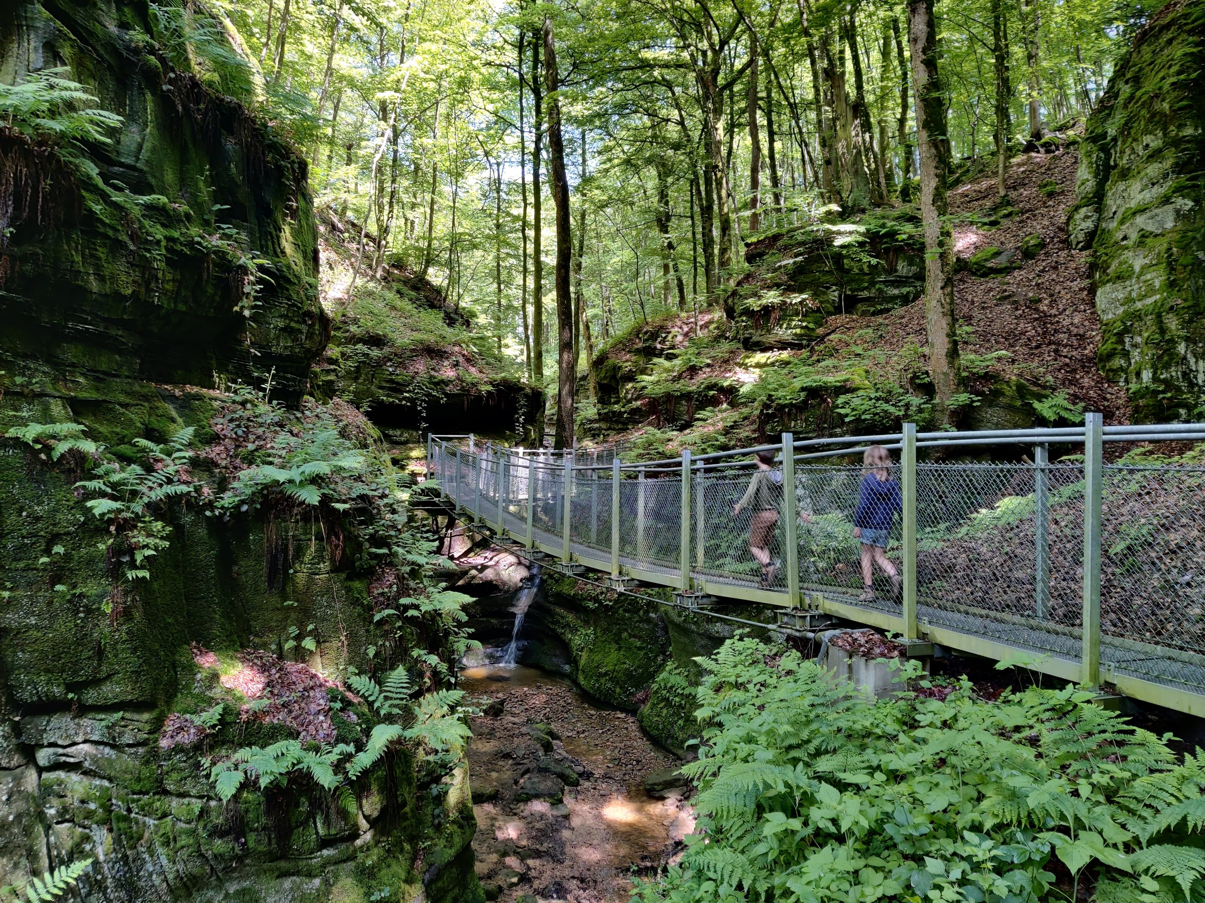 One last walk and to the big nature playground