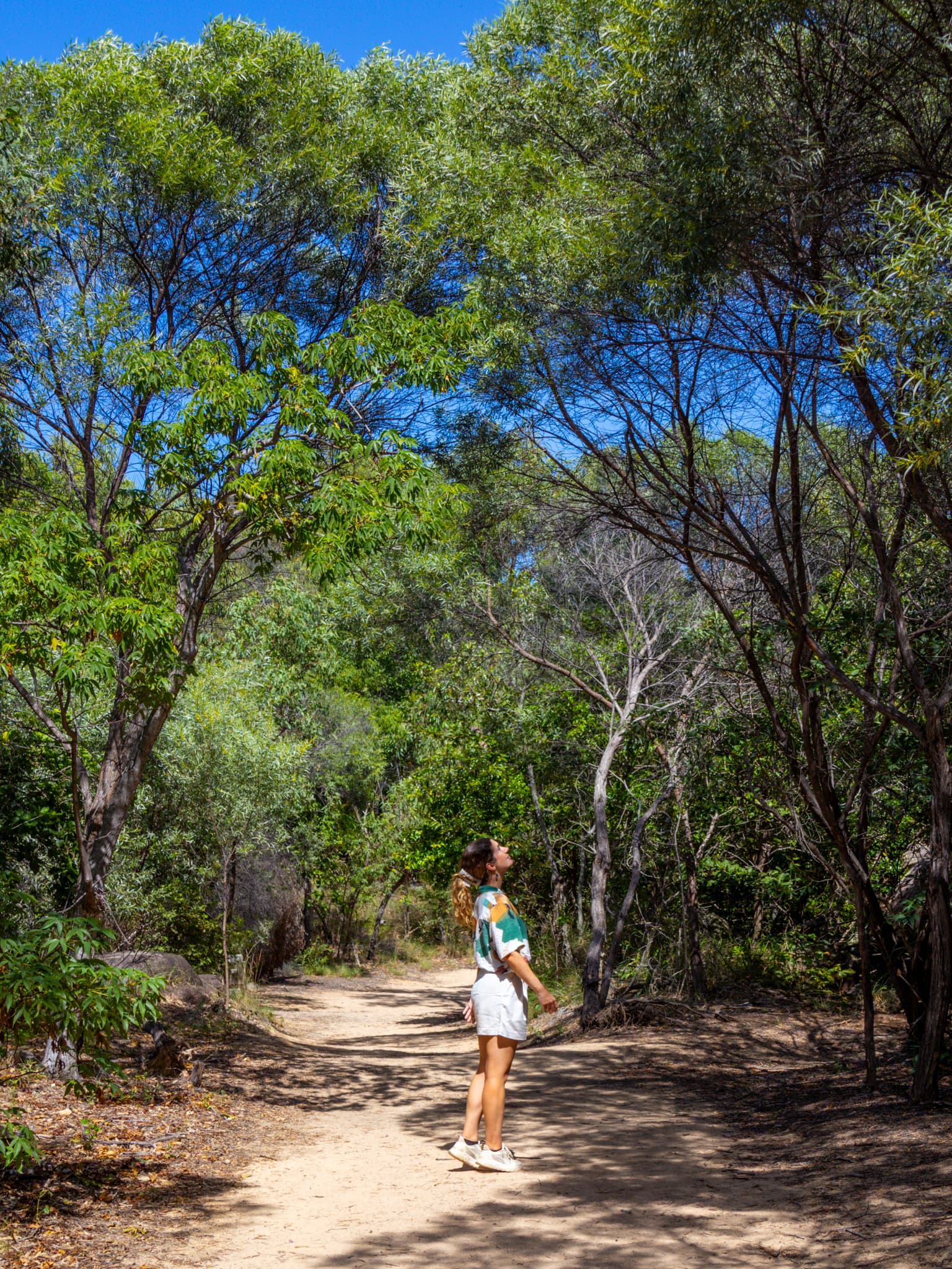 Magnetic Island in Australië: 7 beste dingen om te doen