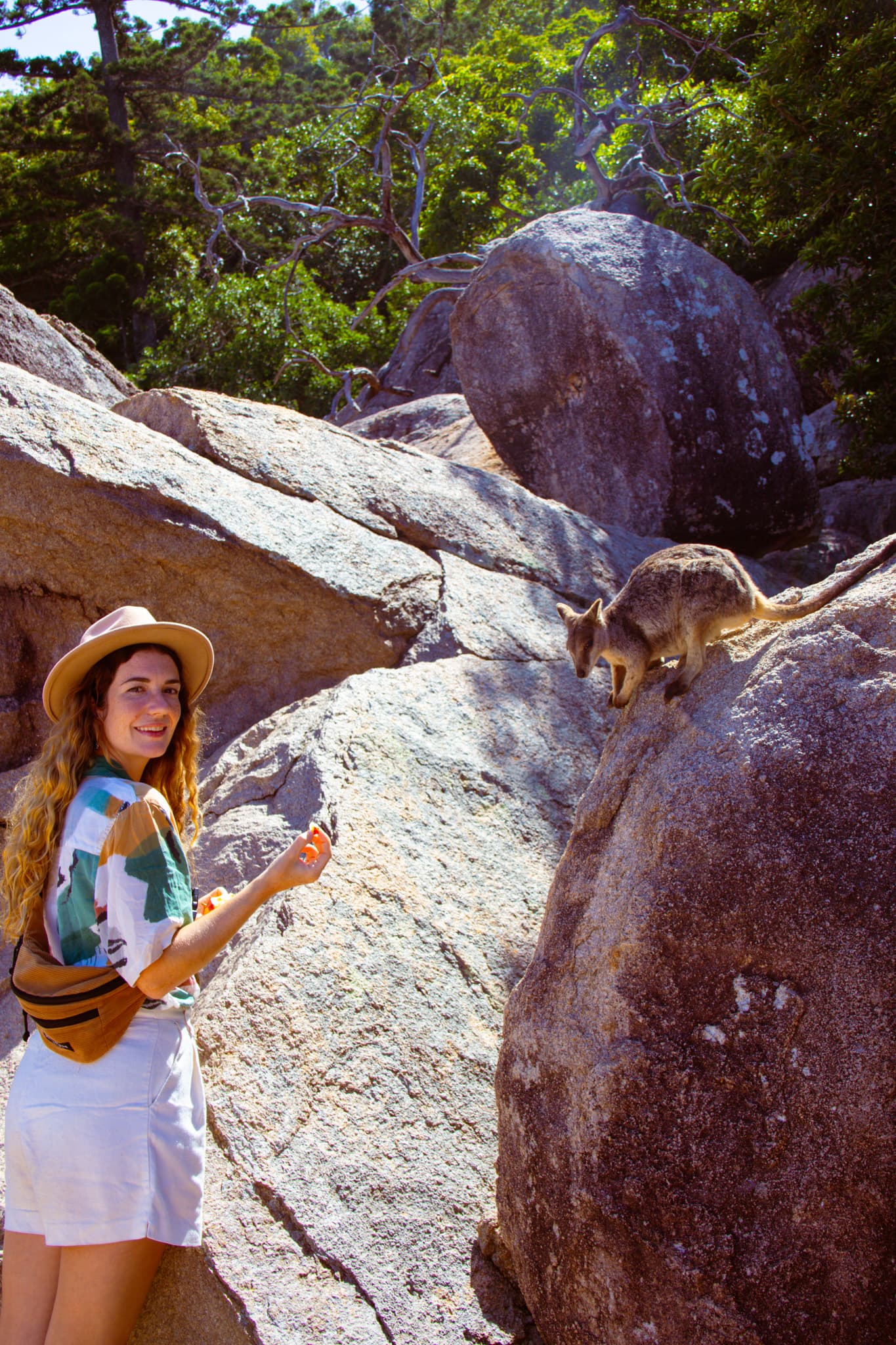 Magnetic Island in Australië: 7 beste dingen om te doen