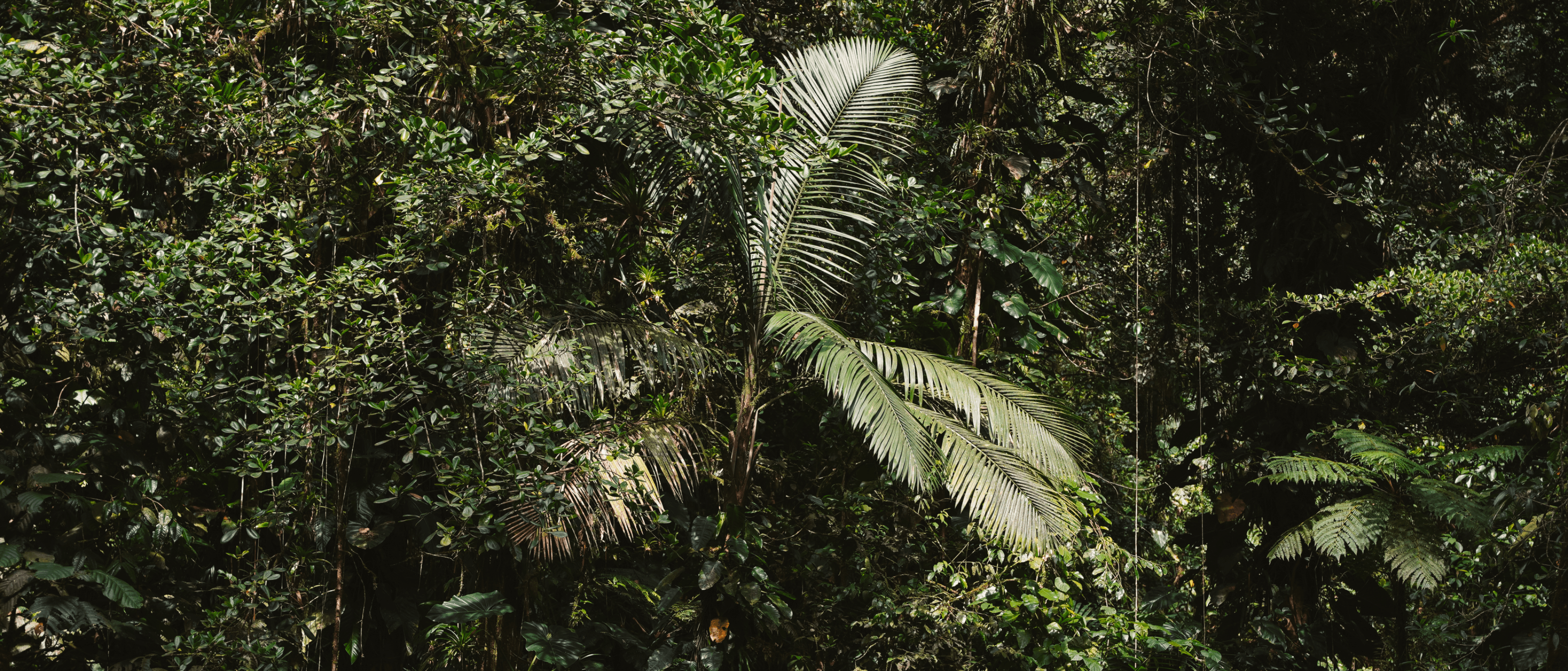 Two waterfalls in a row