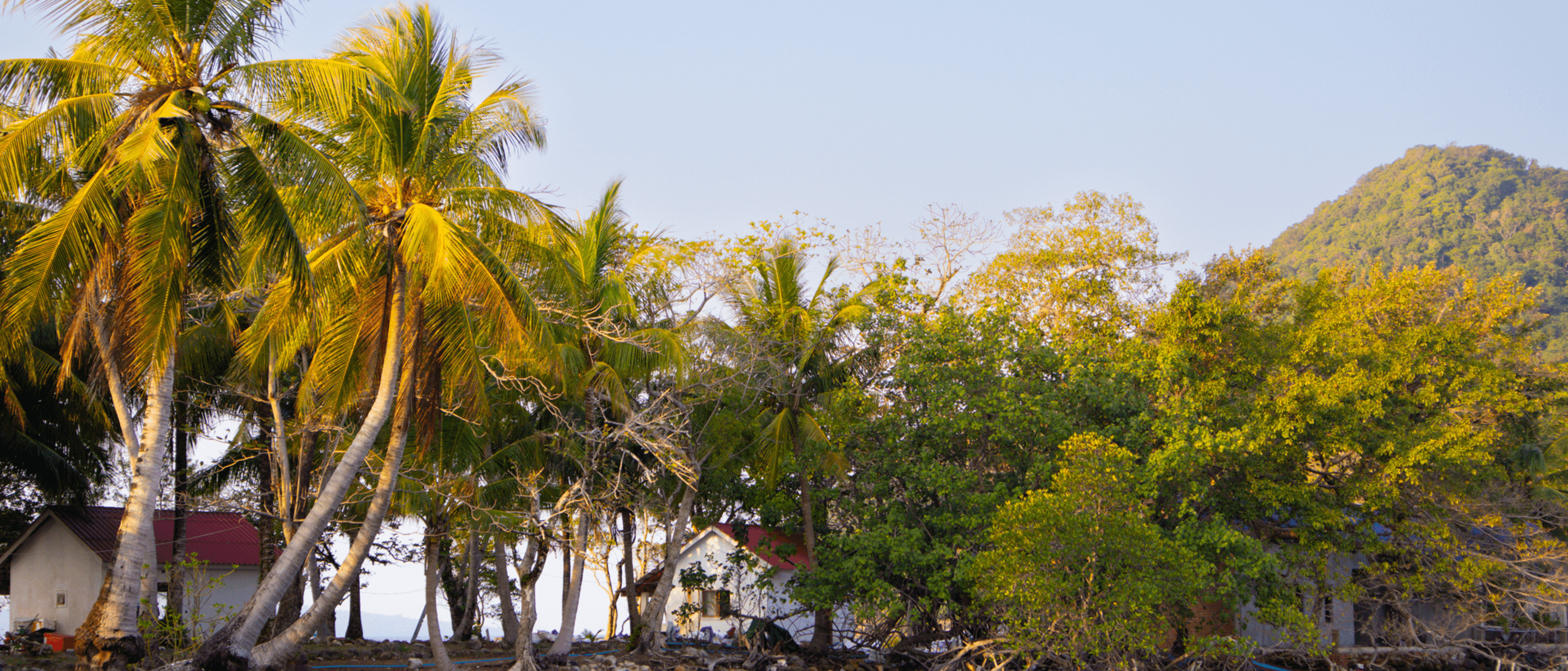 Koh Rong Samloem: 7x doen op het mooiste eiland in Cambodja