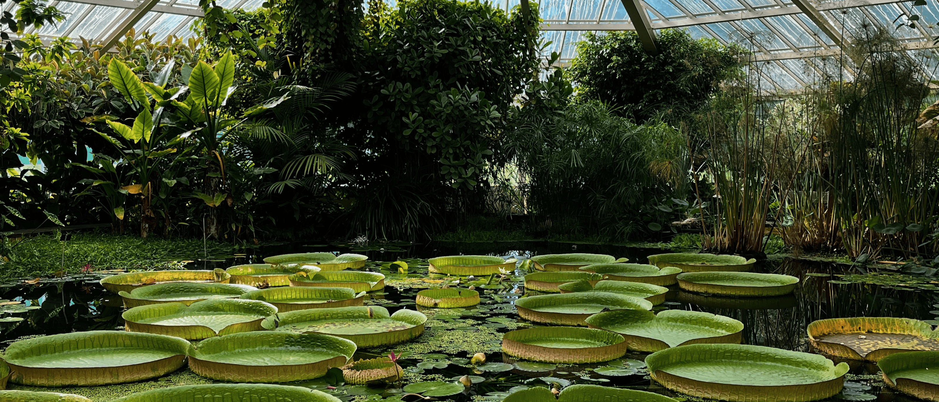 Stunning botanical garden and Belgium’s most iconic landmark