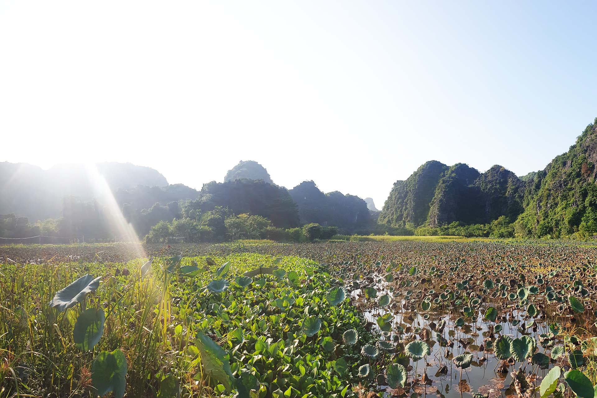 5 plus beaux points forts de Ninh Binh