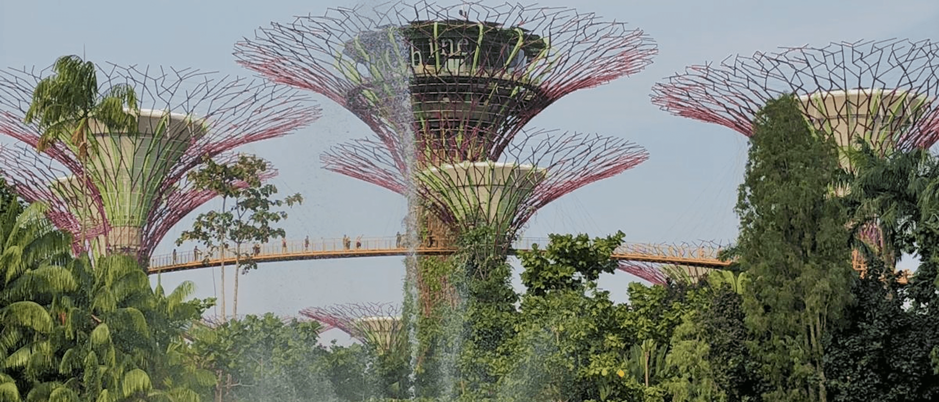 Gardens by the Bay