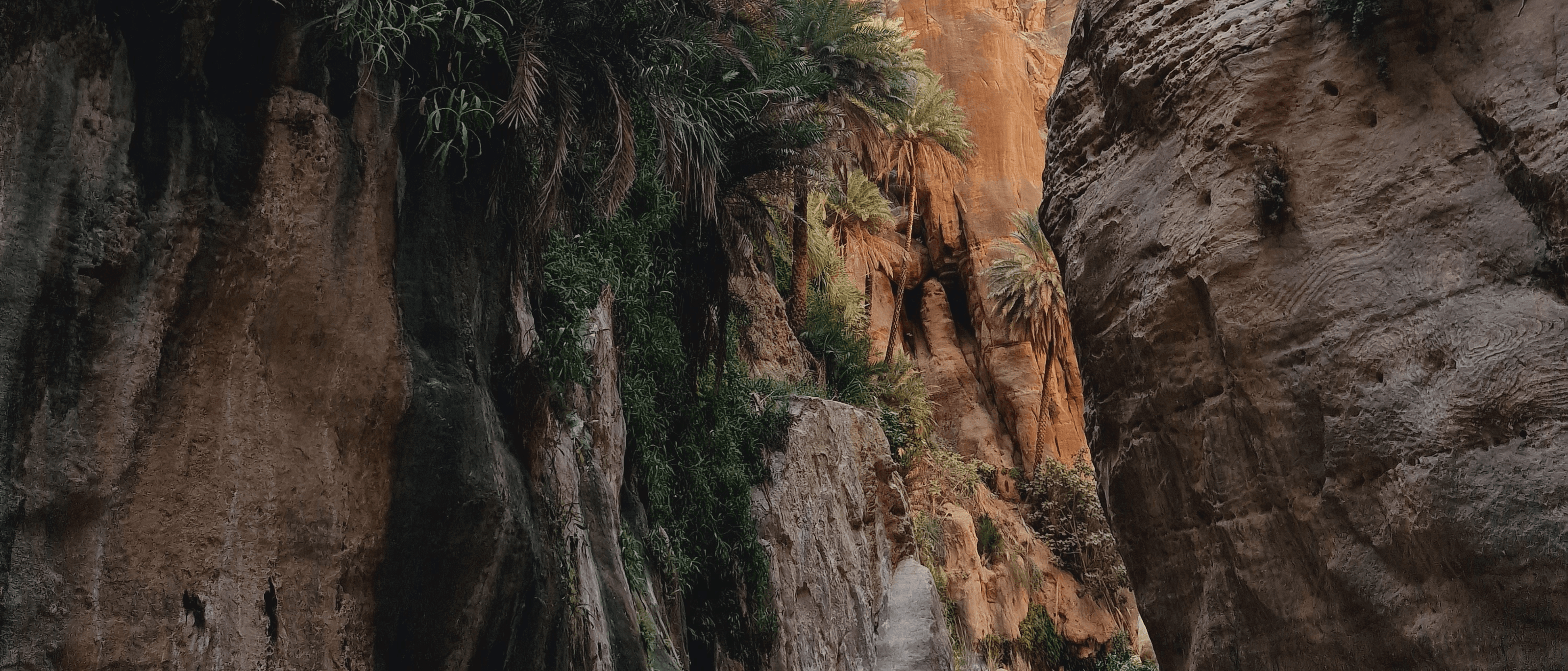 Hiking in Wadi Ghuweir