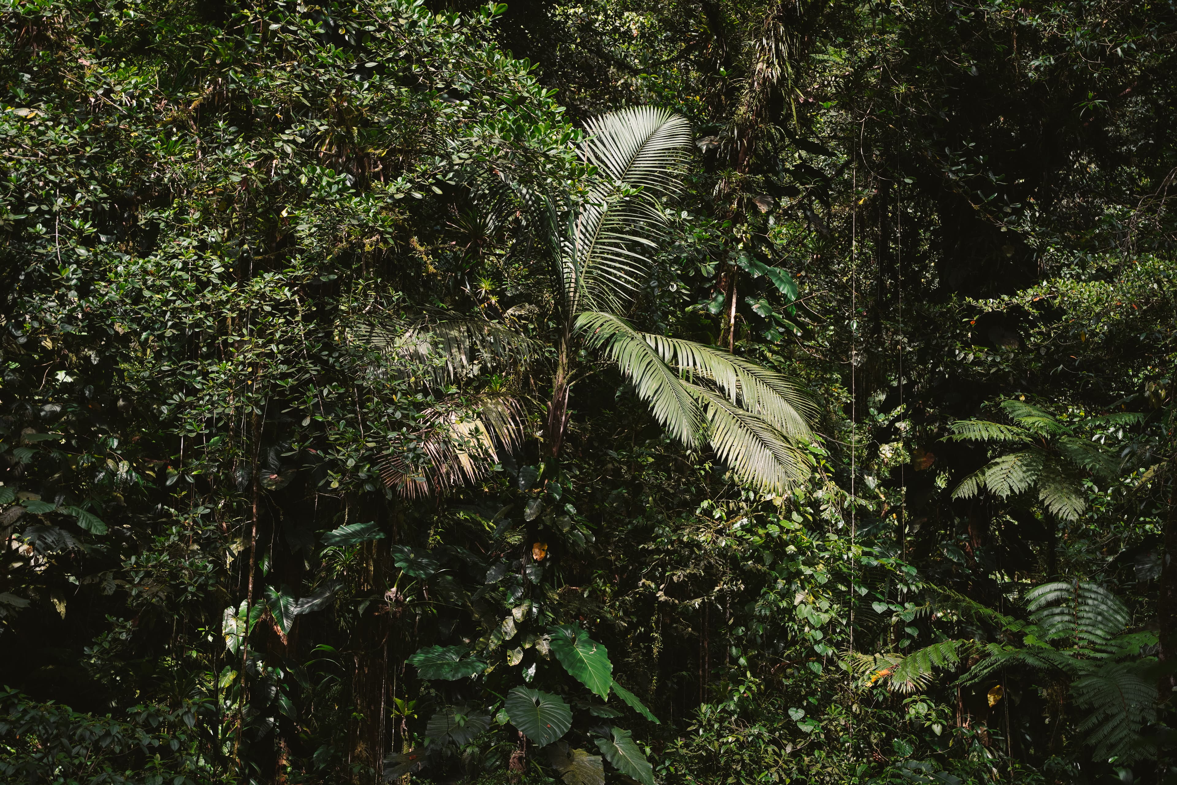 Rocky coast and off to Basse Terre